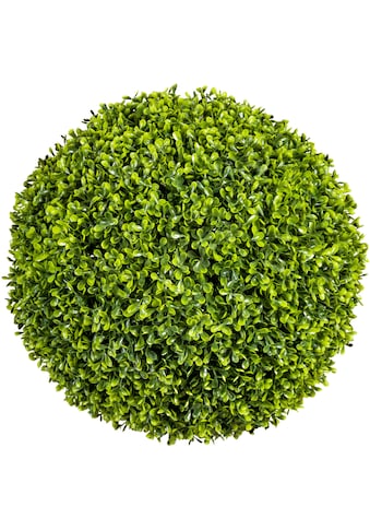 Creativ green Kunstpflanze »Buchsbaumkugel«, (1 St.) kaufen