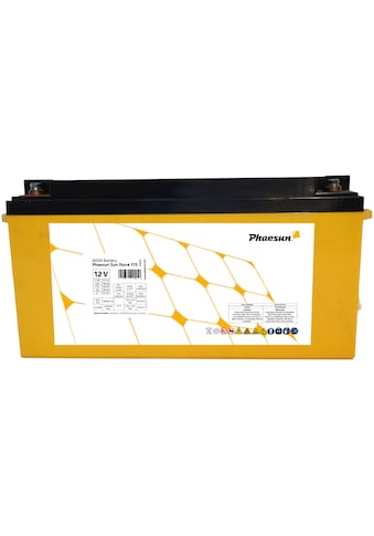 Phaesun Solarakkus »AGM Sun Store 175«, 12 V kaufen