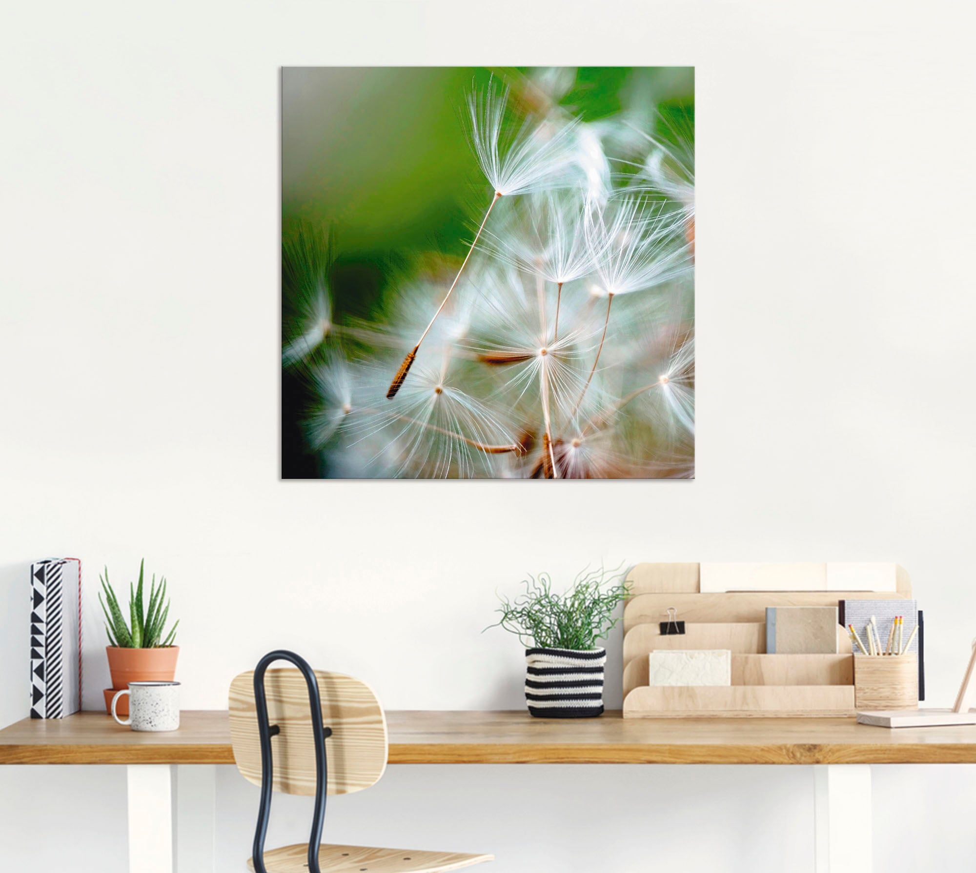Artland Alu-Dibond-Druck »Pusteblume kuschelweich«, Blumen, (1 St.), für Innen- und Außenbereich geeignet, Outdoorbild