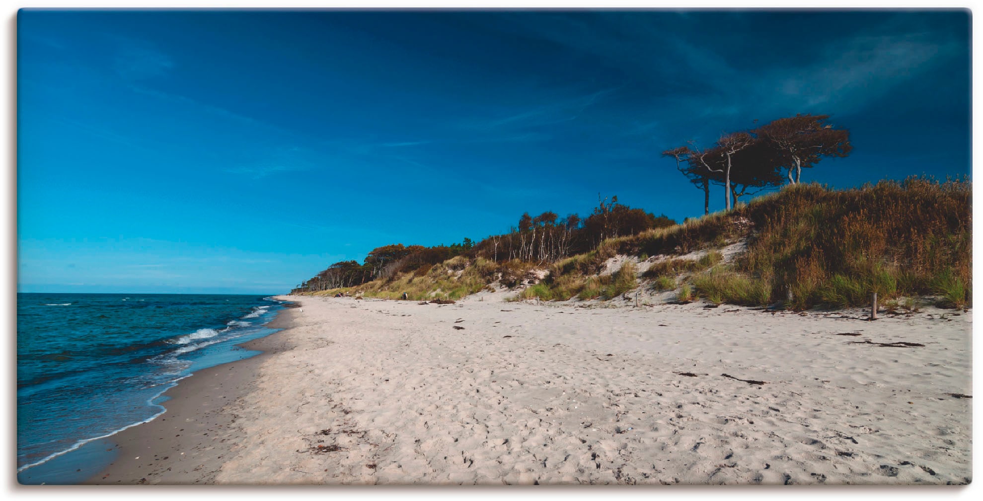 Artland Wandbild »Am Weststrand- Ostsee - Darss«, Strand, (1 St.), als Lein günstig online kaufen