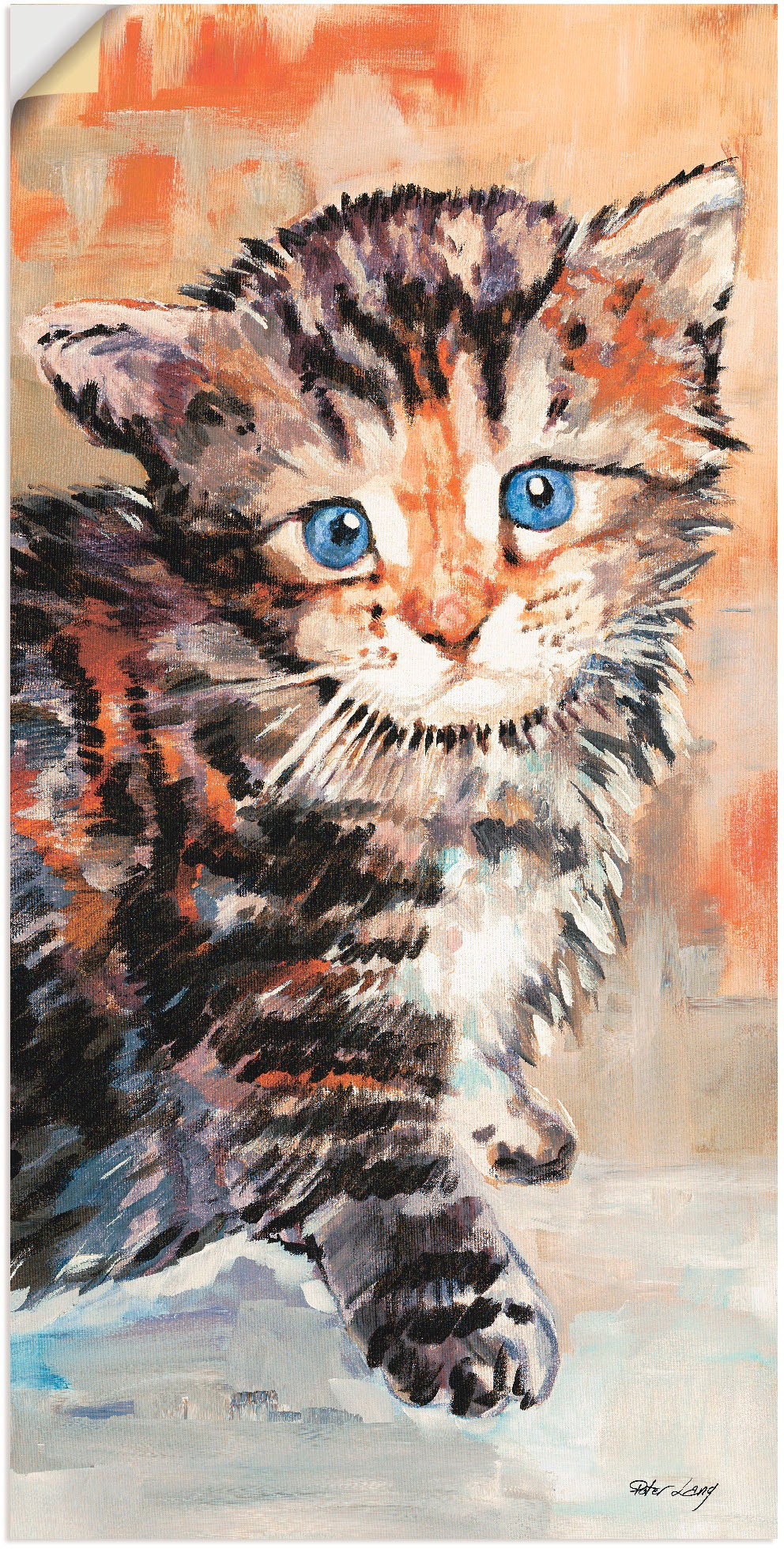 Artland Wandbild »Katze«, Haustiere, (1 St.), als Alubild, Outdoorbild, Wan günstig online kaufen