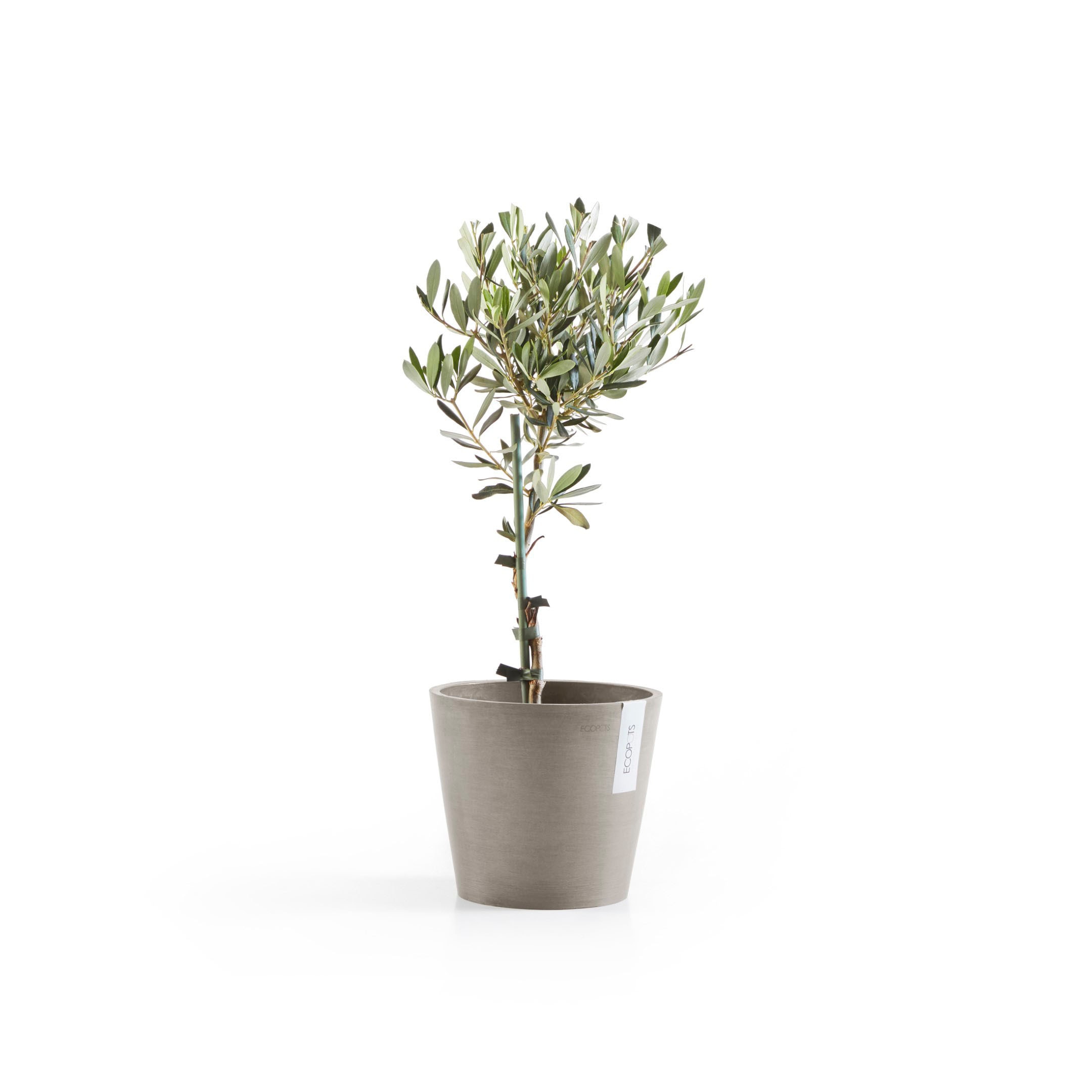 ECOPOTS Blumentopf »Amsterdam«, ØxH: 20x17,5 cm