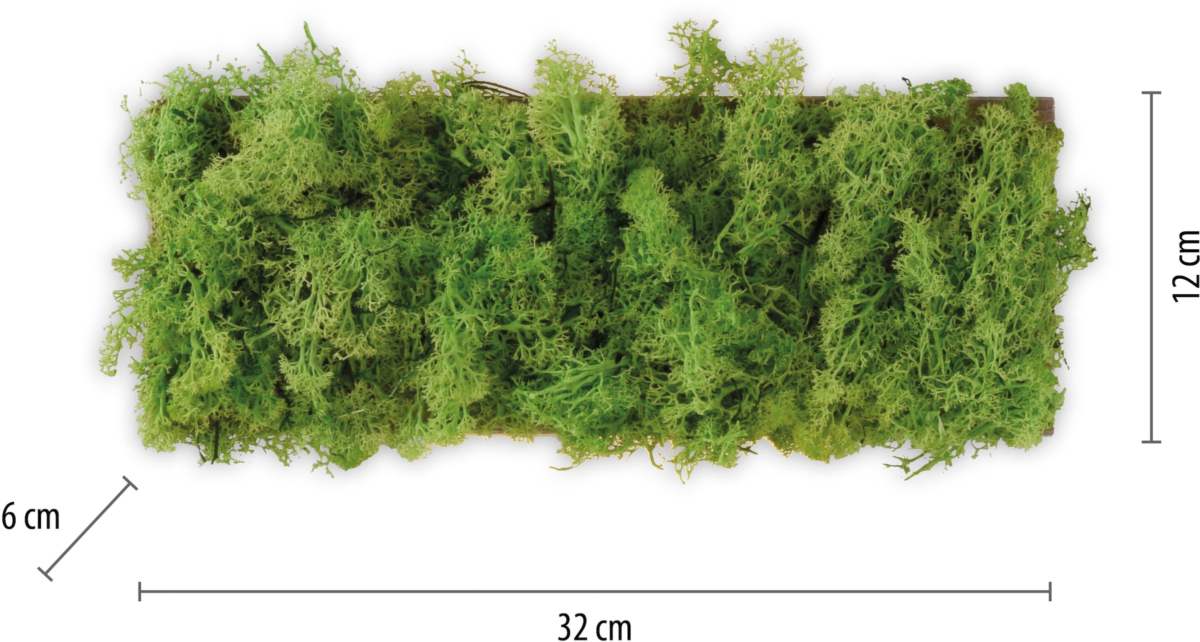 JUST LIGHT Wandleuchte »GREEN CARL«, 6 flammig