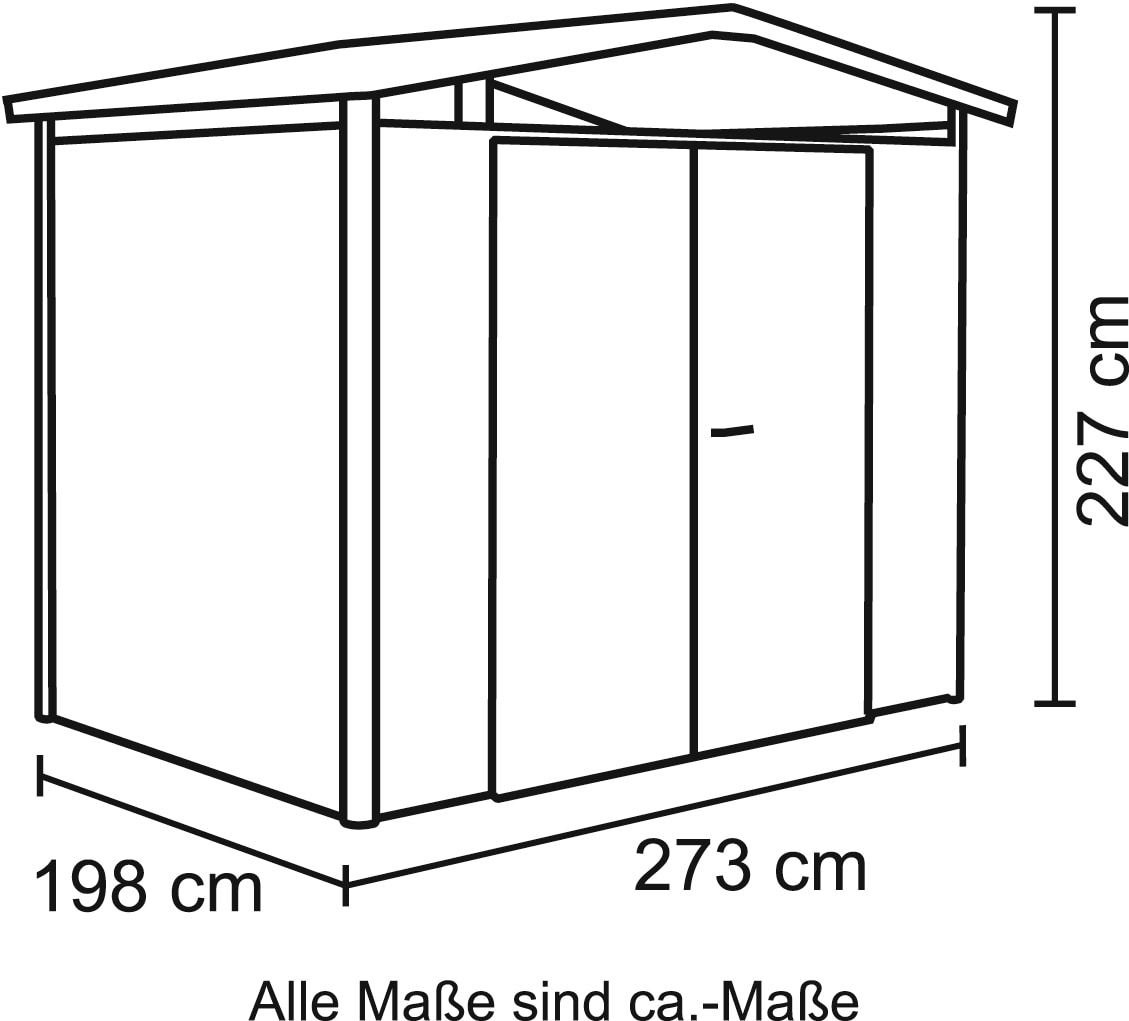 Biohort Gerätehaus »Panorama P2«, Metall