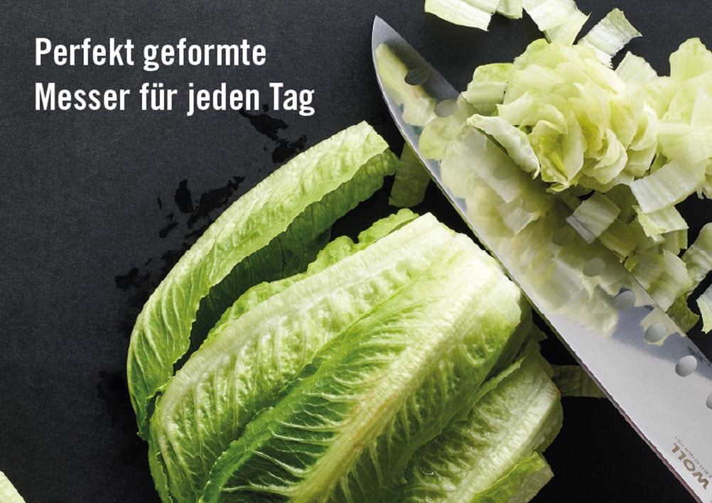 WOLL Santokumesser »Cutting Edge« aus deutschem Edelstahl gemäß DIN 1.4116