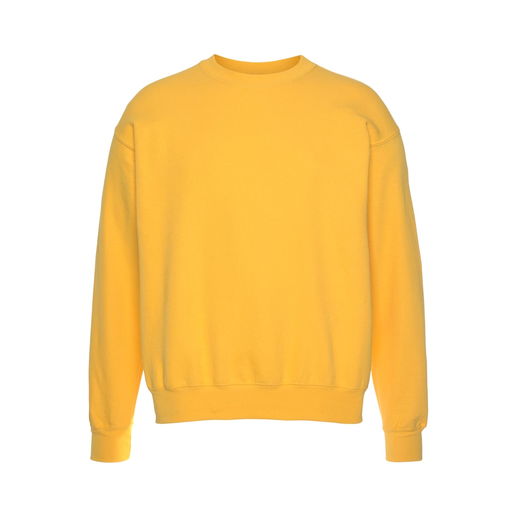 Fruit of the Loom Sweatshirt