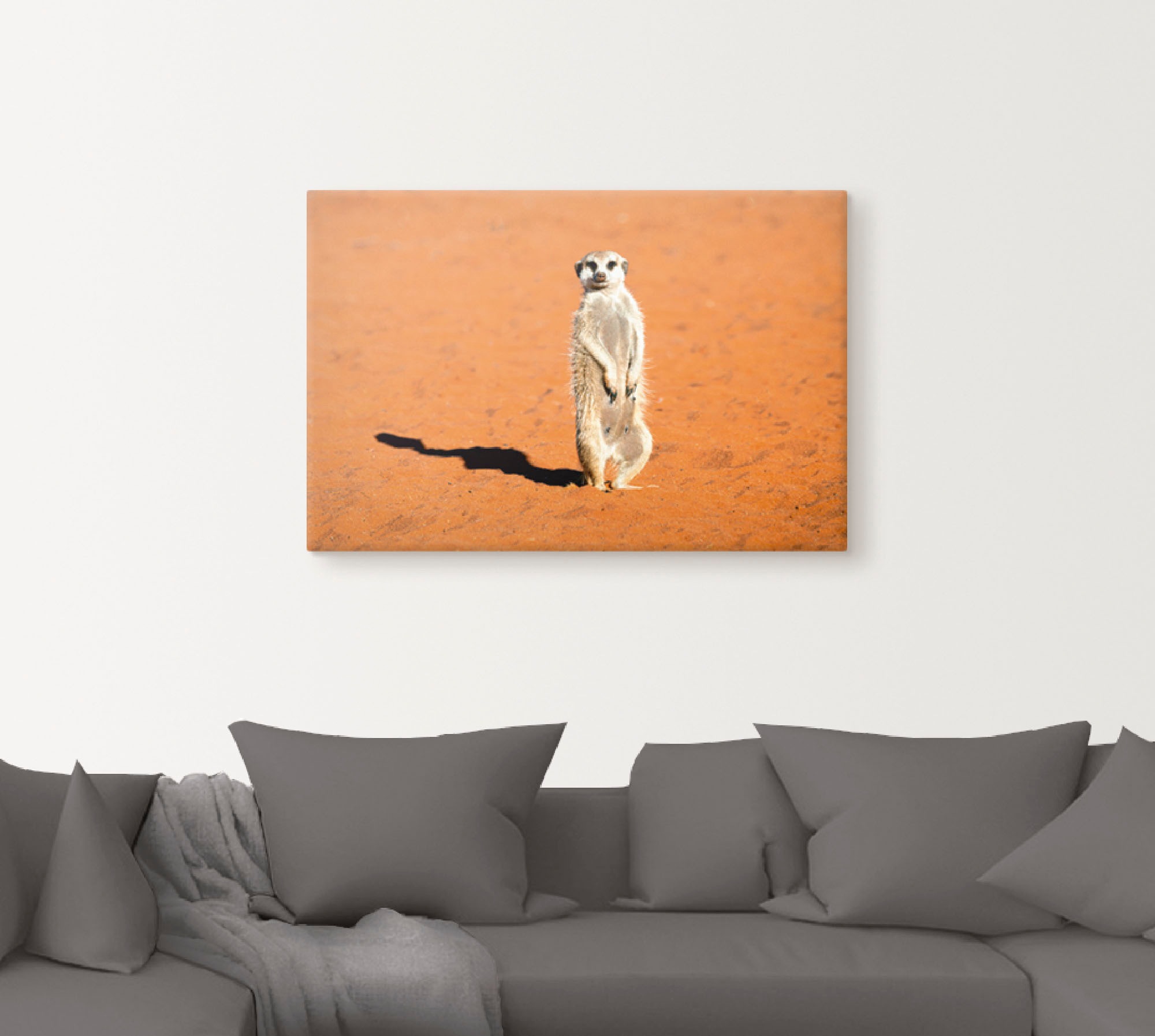 Artland Wandbild »Erdmännchen«, Wildtiere, (1 St.), als Alubild, Leinwandbild, Wandaufkleber oder Poster in versch. Größen