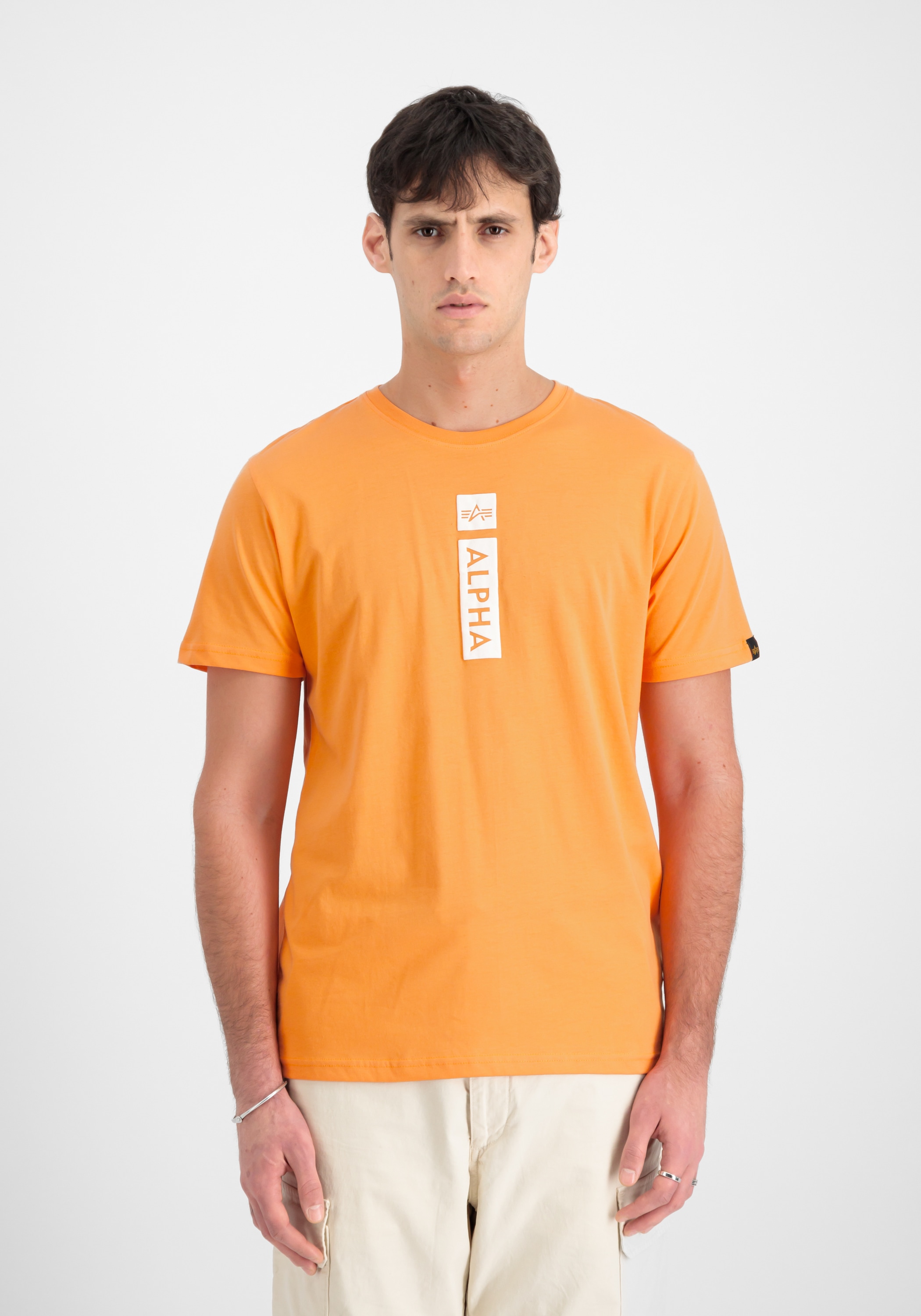 Alpha Industries T-Shirt »Alpha Industries Men - T-Shirts Alpha Puff Print T«