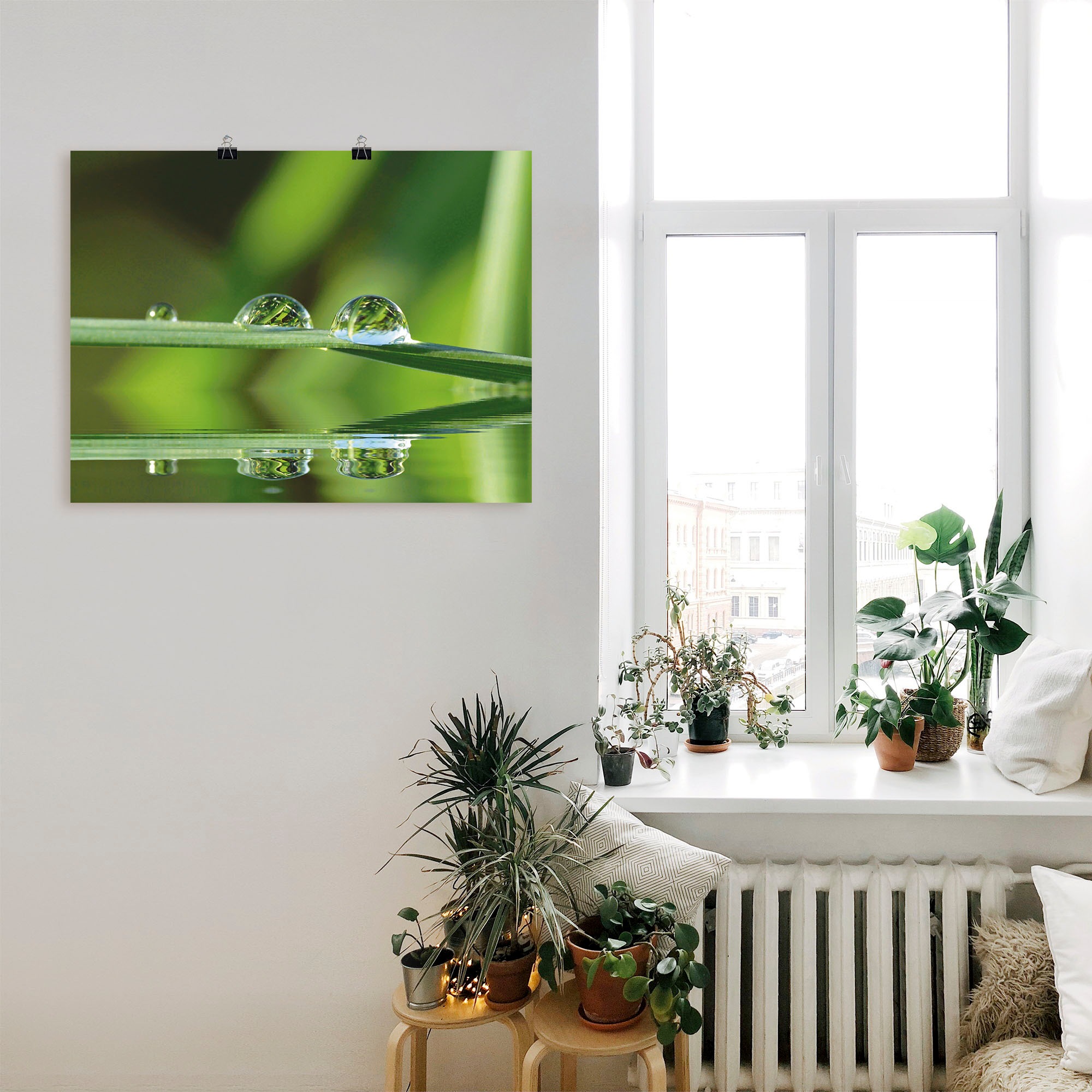 Artland Poster »Zwei Wassertropfen« Gräser 1 Stk. tlg. als Leinwandbild, Wa günstig online kaufen