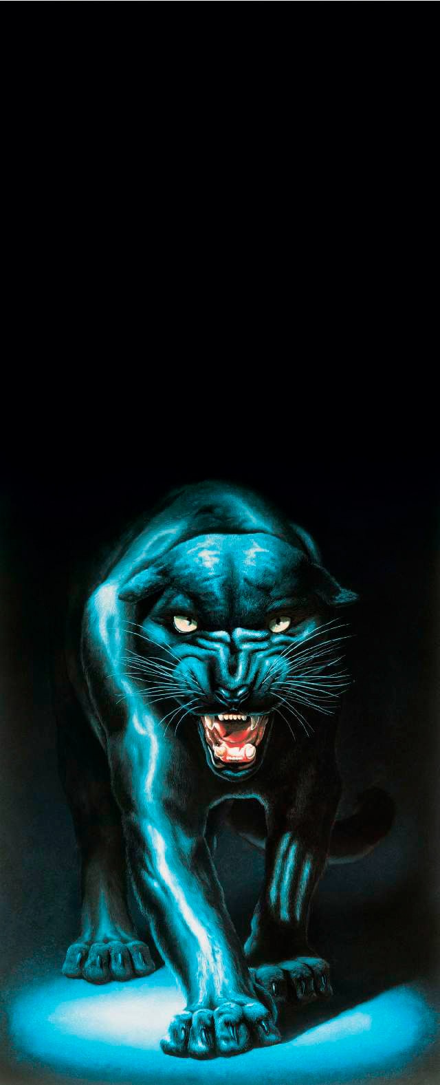 Papermoon Fototapete »Panther - Türtapete«, matt