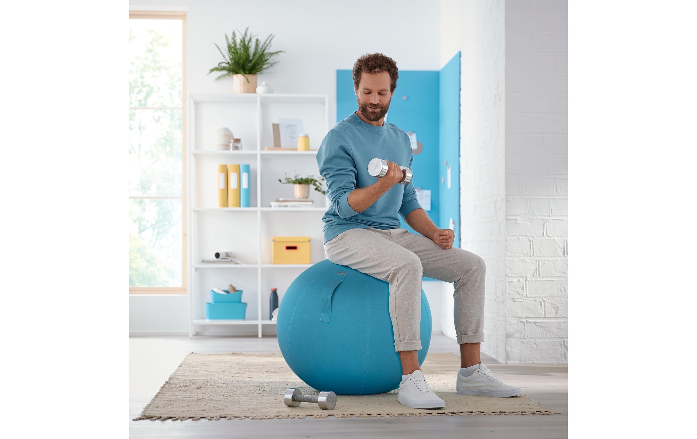 LEITZ Sitzball »Ergo Cosy«