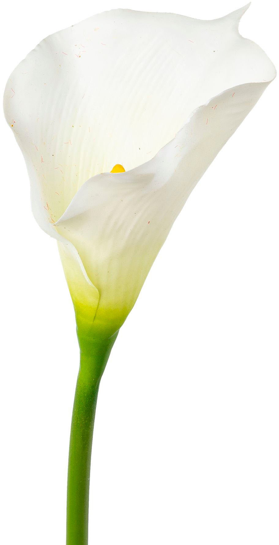 Creativ green Kunstblume »Calla«