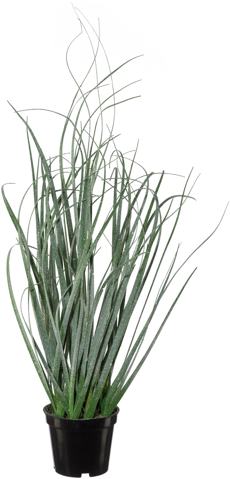 Creativ green Winterliche Kunstpflanze »Weihnachtsdeko«, mit geeister Optik, im 2er-Set