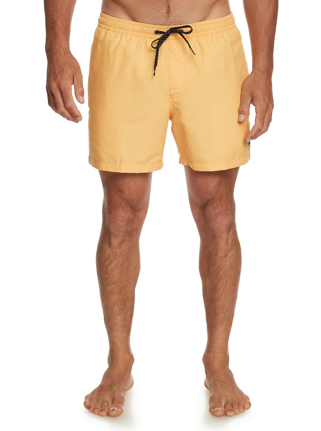 Bild von Quiksilver Badeshorts »Everyday 15"«