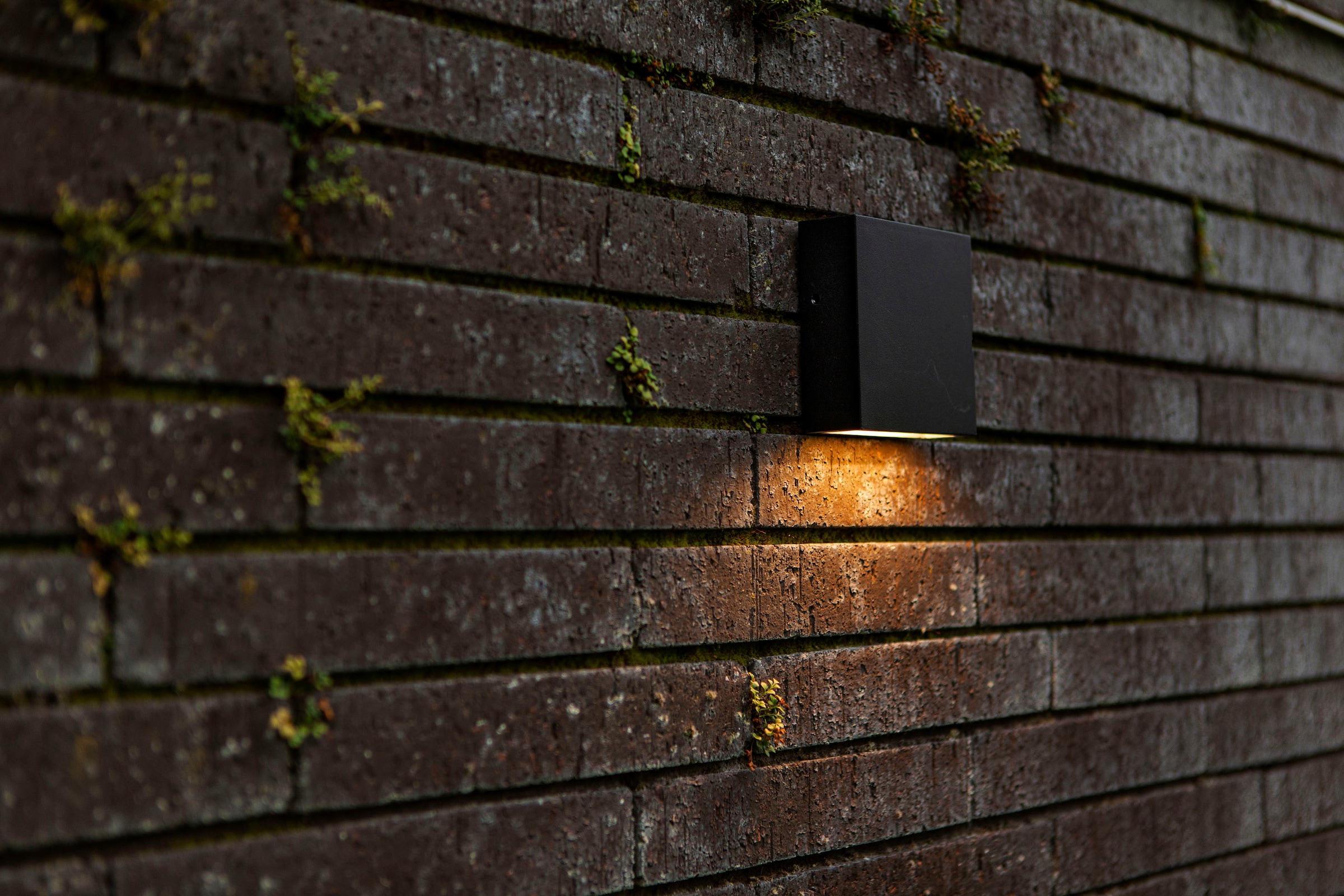 LUTEC LED Außen-Wandleuchte »GEMINI XF«, Leuchtmittel LED-Modul | LED fest integriert