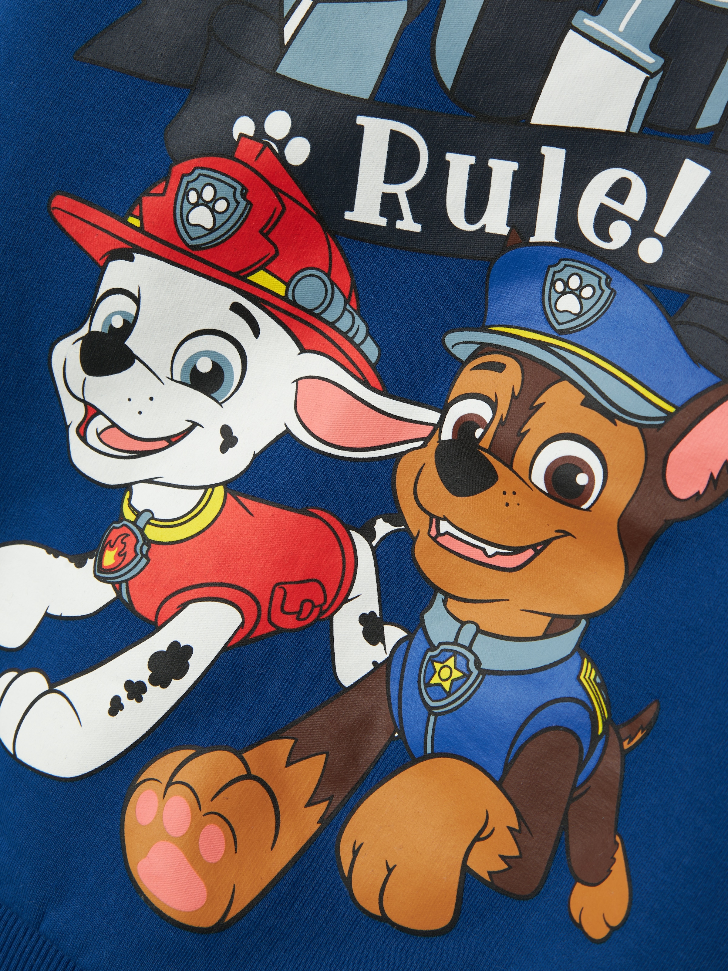 Name It Sweatshirt »NMMDAY PAWPATROL NREG SWEA BRU NOOS CPLG«