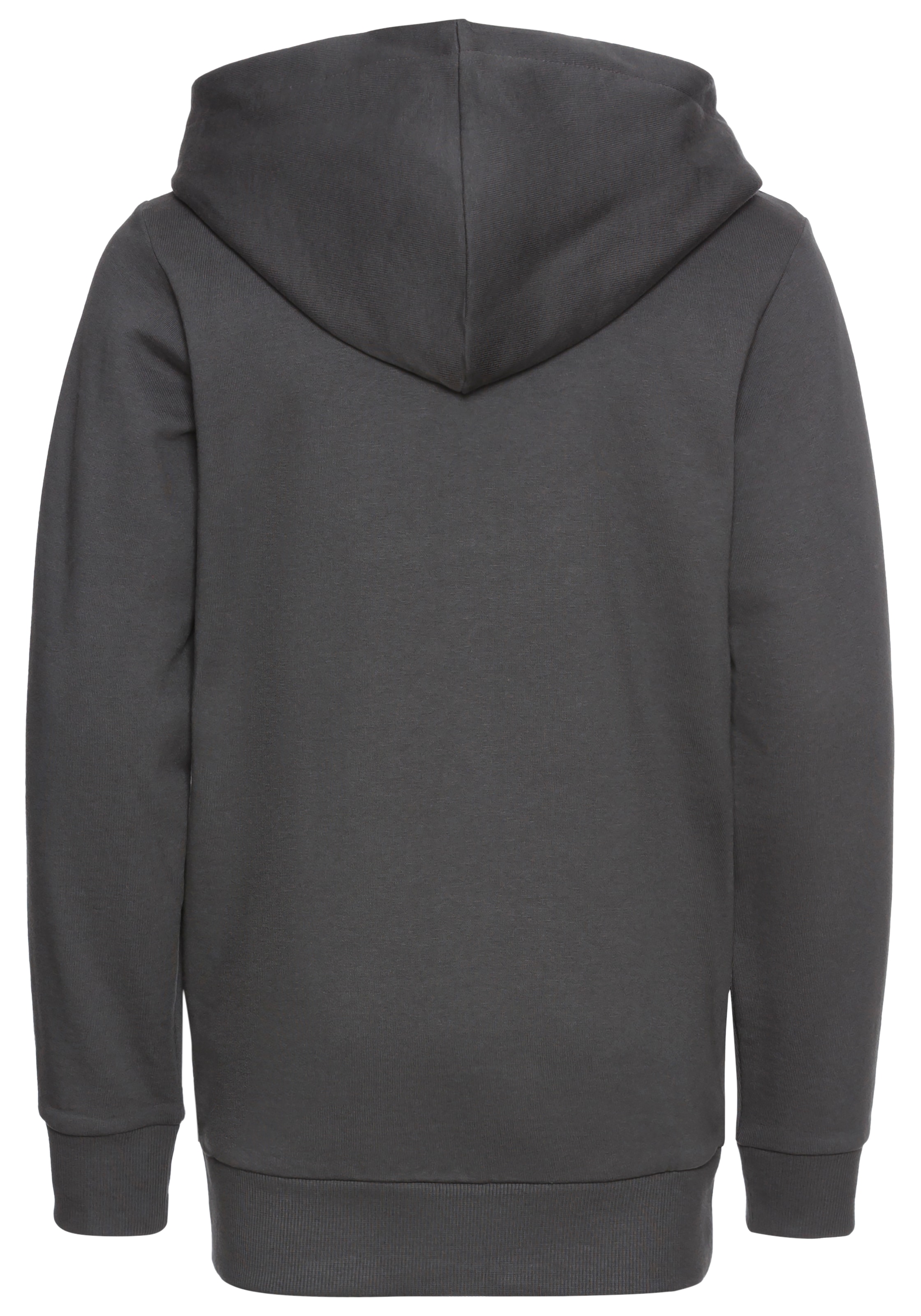 KIDSWORLD Kapuzensweatshirt »GECKO«, cooles Tiermotiv