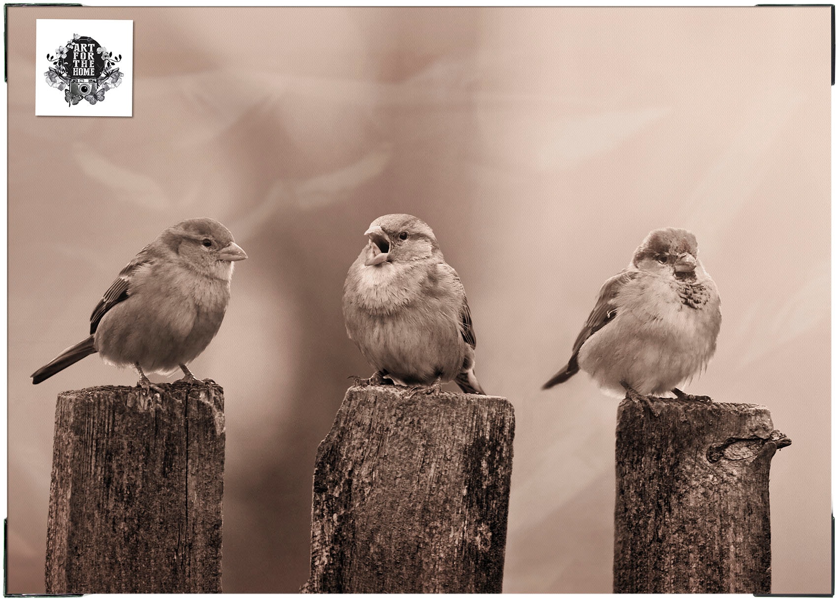 Art for the home Leinwandbild »Outdoor Vogel 50x70cm«, Romantisch-Strand, (1 St.), Leinwand für draußen- Early Birds - Sepia - 50x70cm