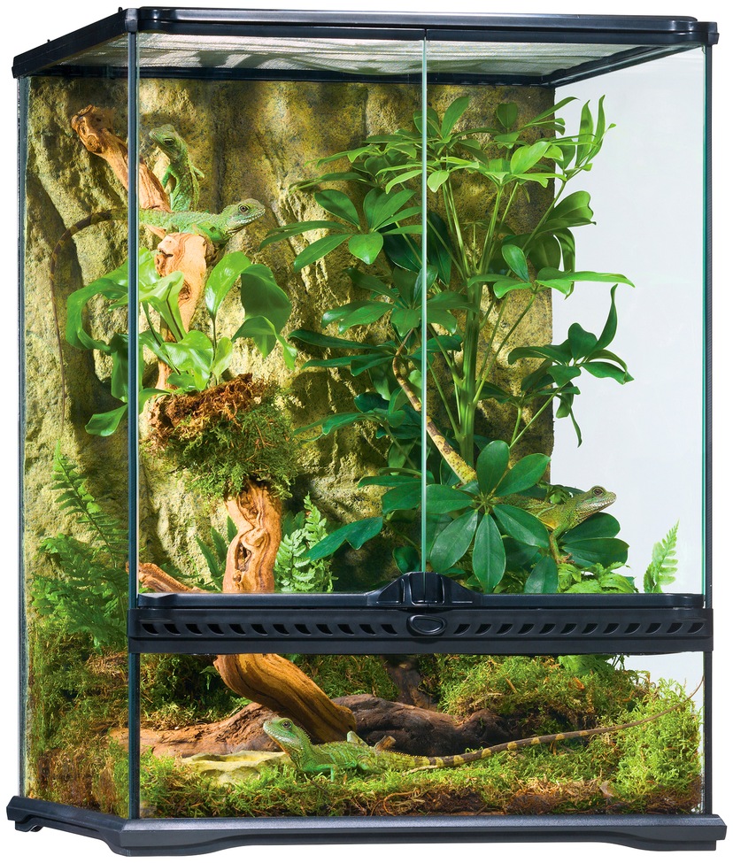 Terrarium, BxTxH: 45x45x60 cm, inkl. Rückwand