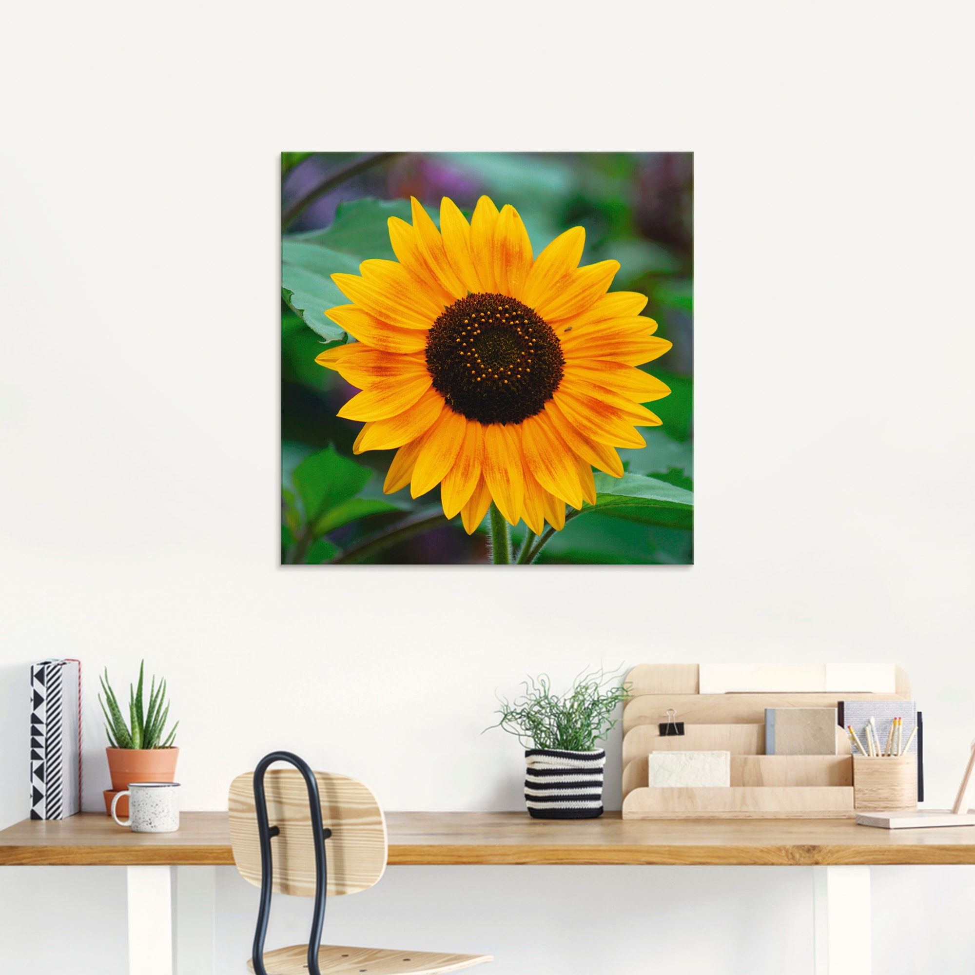 Artland Glasbild »Sonnenblume«, Blumen, (1 St.), in verschiedenen Größen günstig online kaufen