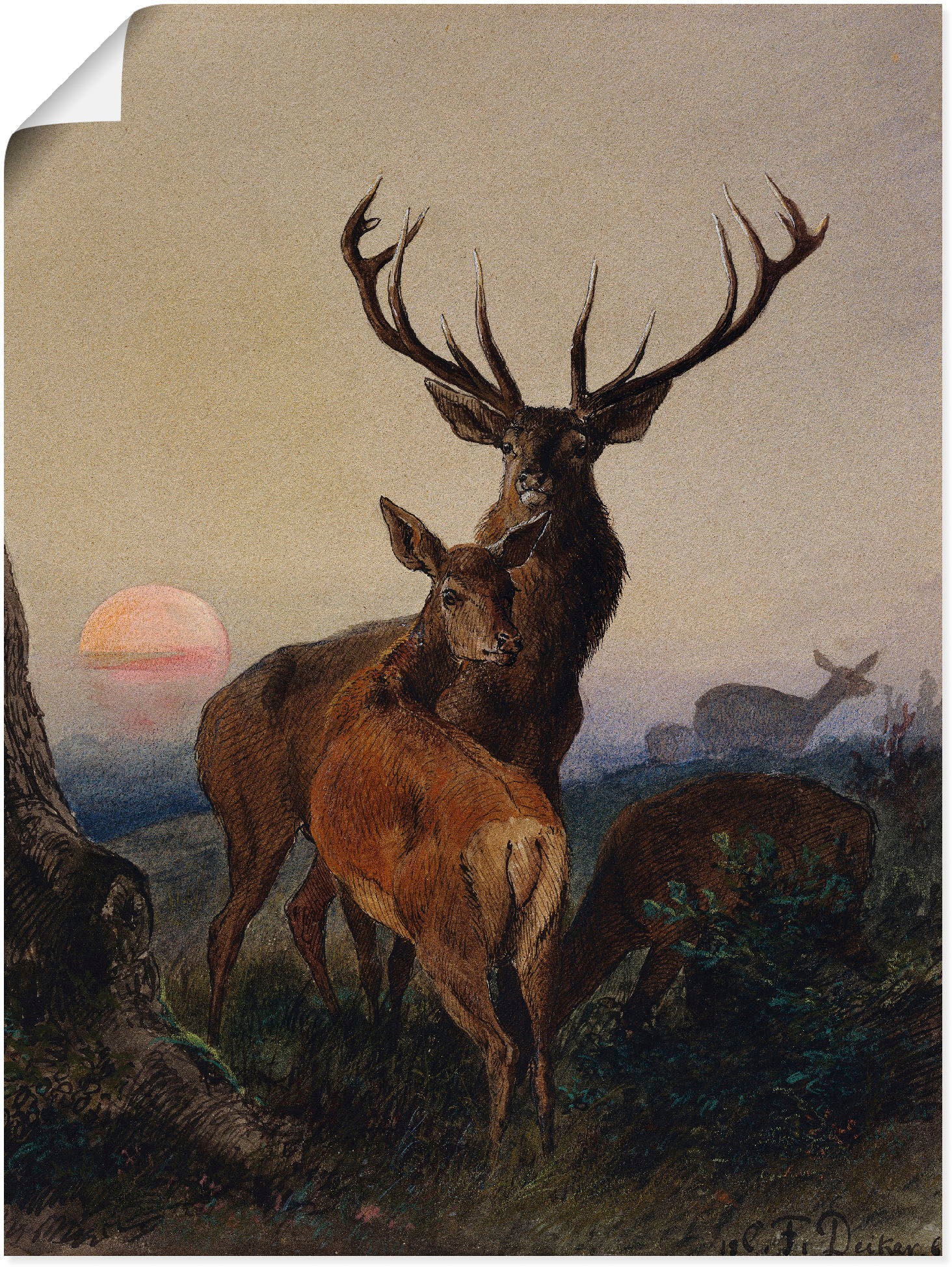 Artland Wandbild »Hirsch und ein Reh bei Sonnenuntergang«, Wildtiere, (1 St.),  als Leinwandbild, Poster, Wandaufkleber in verschied. Größen auf Raten  kaufen | Poster