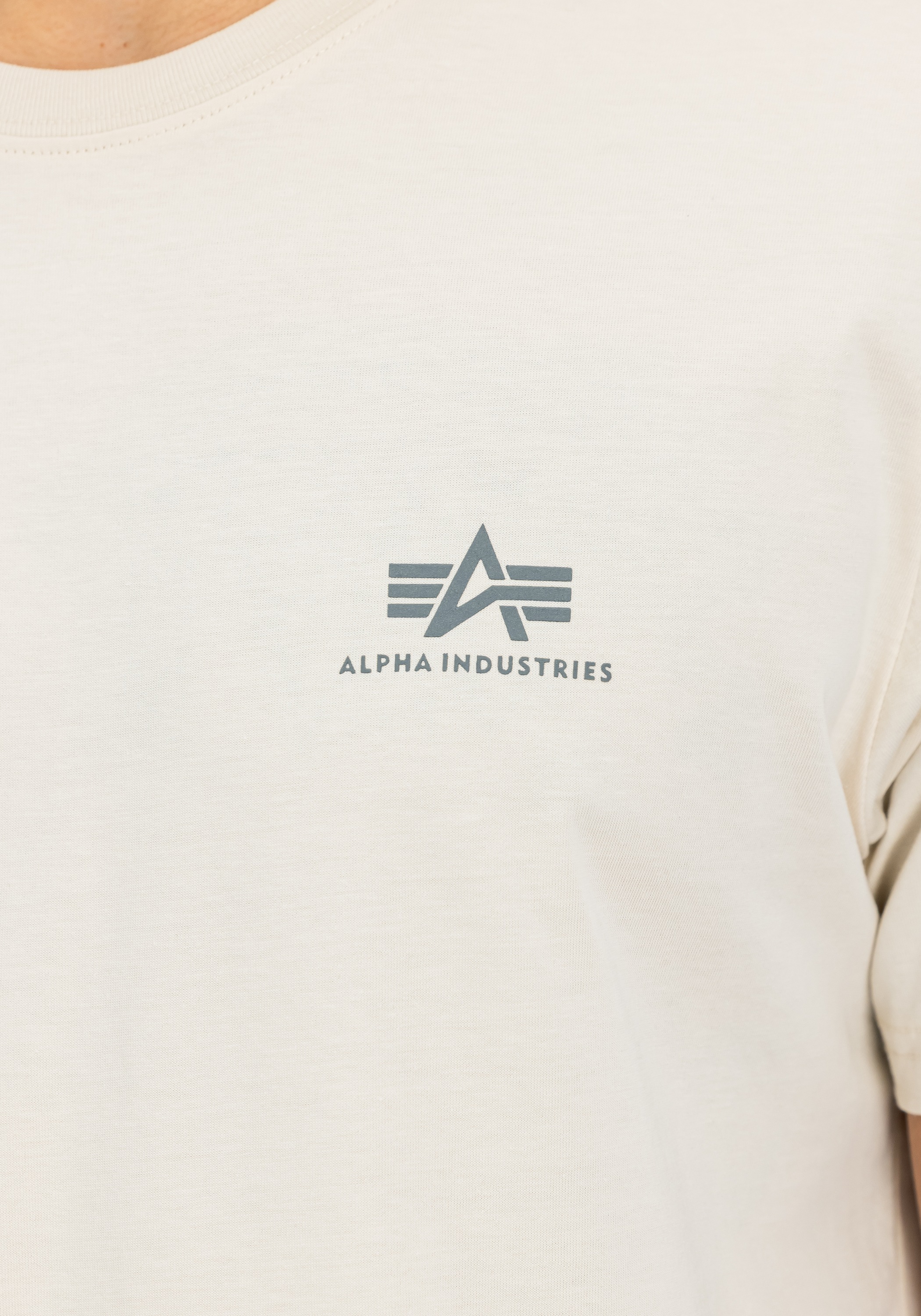 Alpha Industries T-Shirt »Backprint T-Shirt«