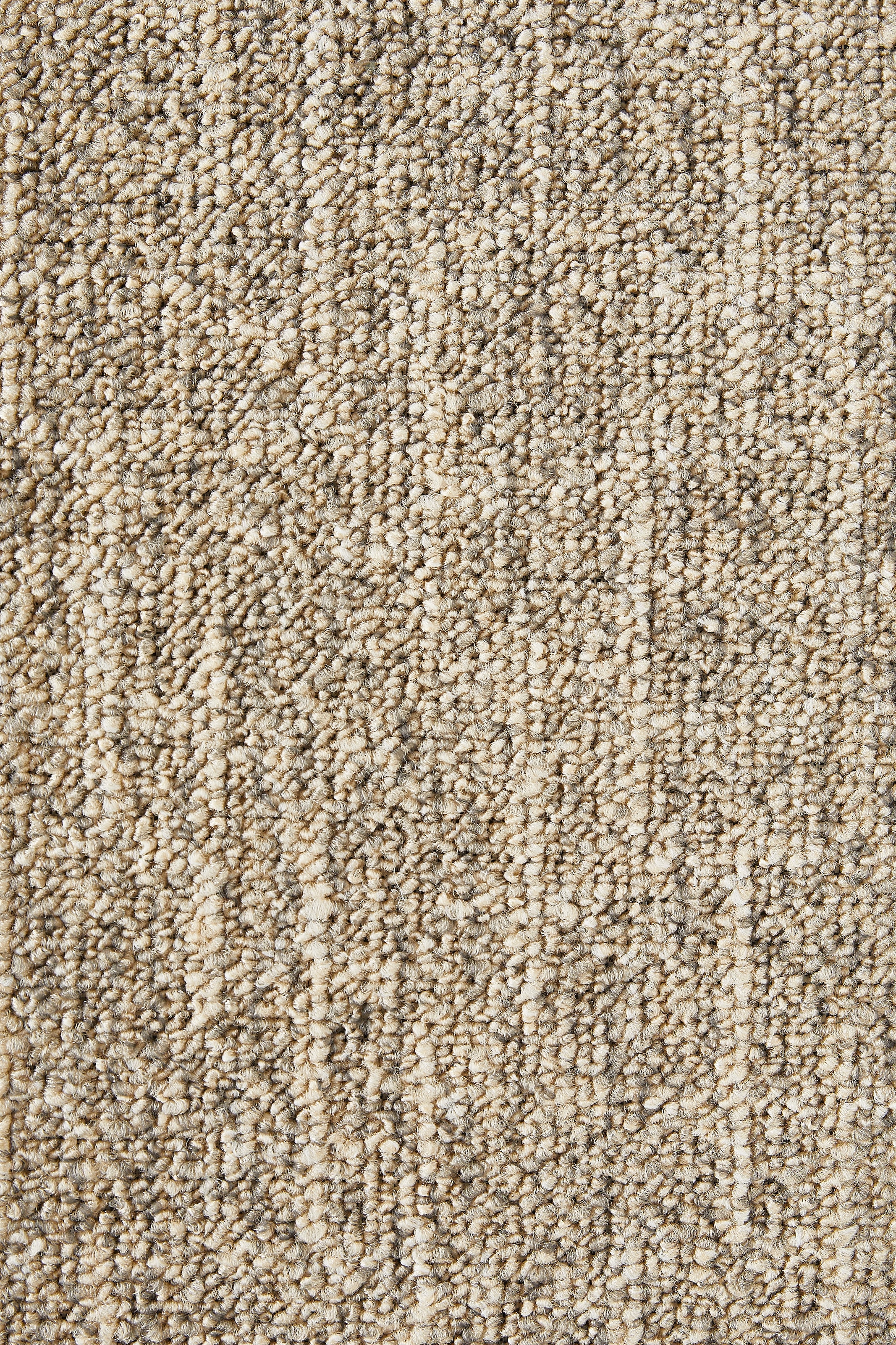 my home Teppichboden »Jamie, melierte Schlinge, Made in Netherlands«, rechteckig, 6 mm Höhe, Breite 400 cm, strapazierfähig, pflegeleicht, allergikerfreundlich