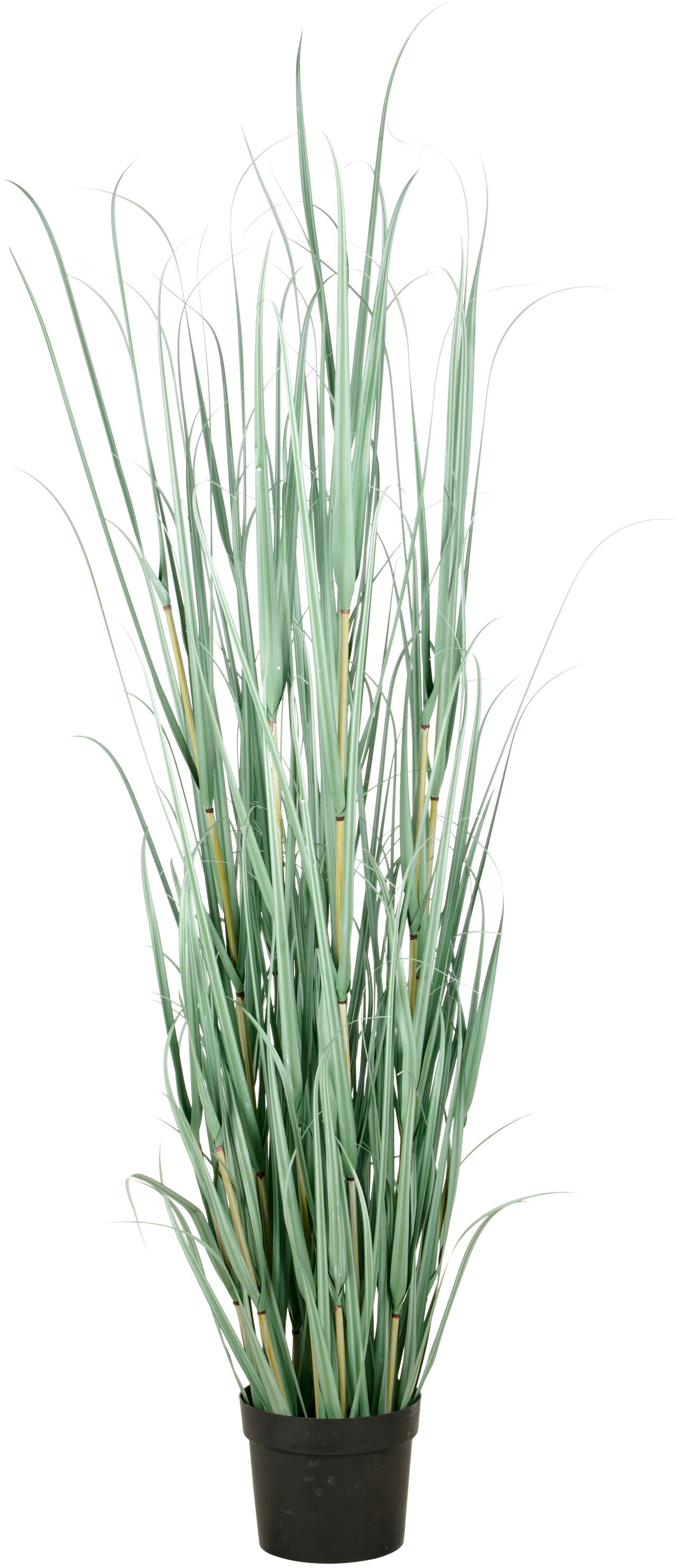 Creativ green Kunstgras »Grasbusch Cortaderia«, in opulenter Größe günstig online kaufen