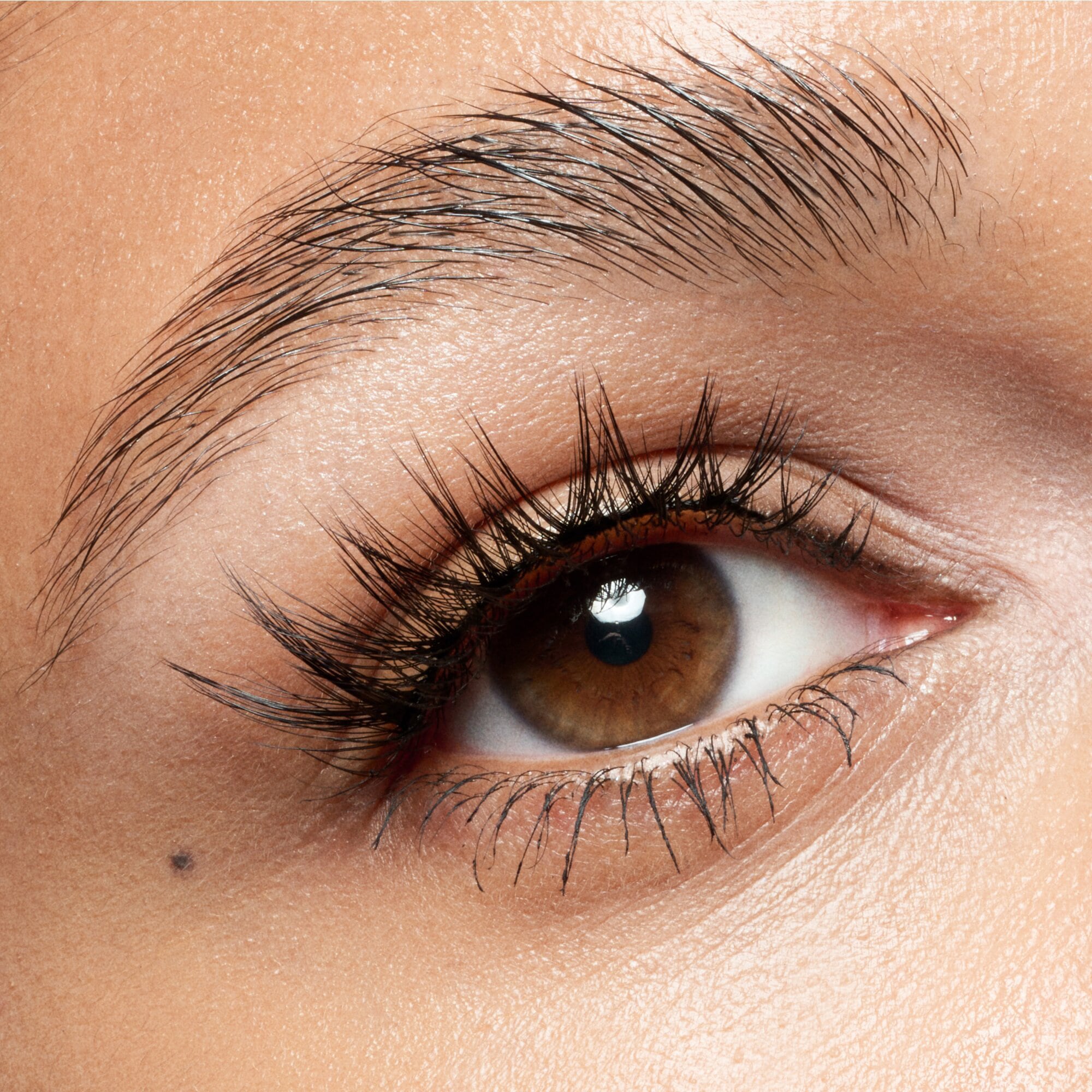 Catrice Bandwimpern »Faked 3/4 Pre-Cut Lashes«, (Set, 3 tlg.), mit natürlichem Effekt