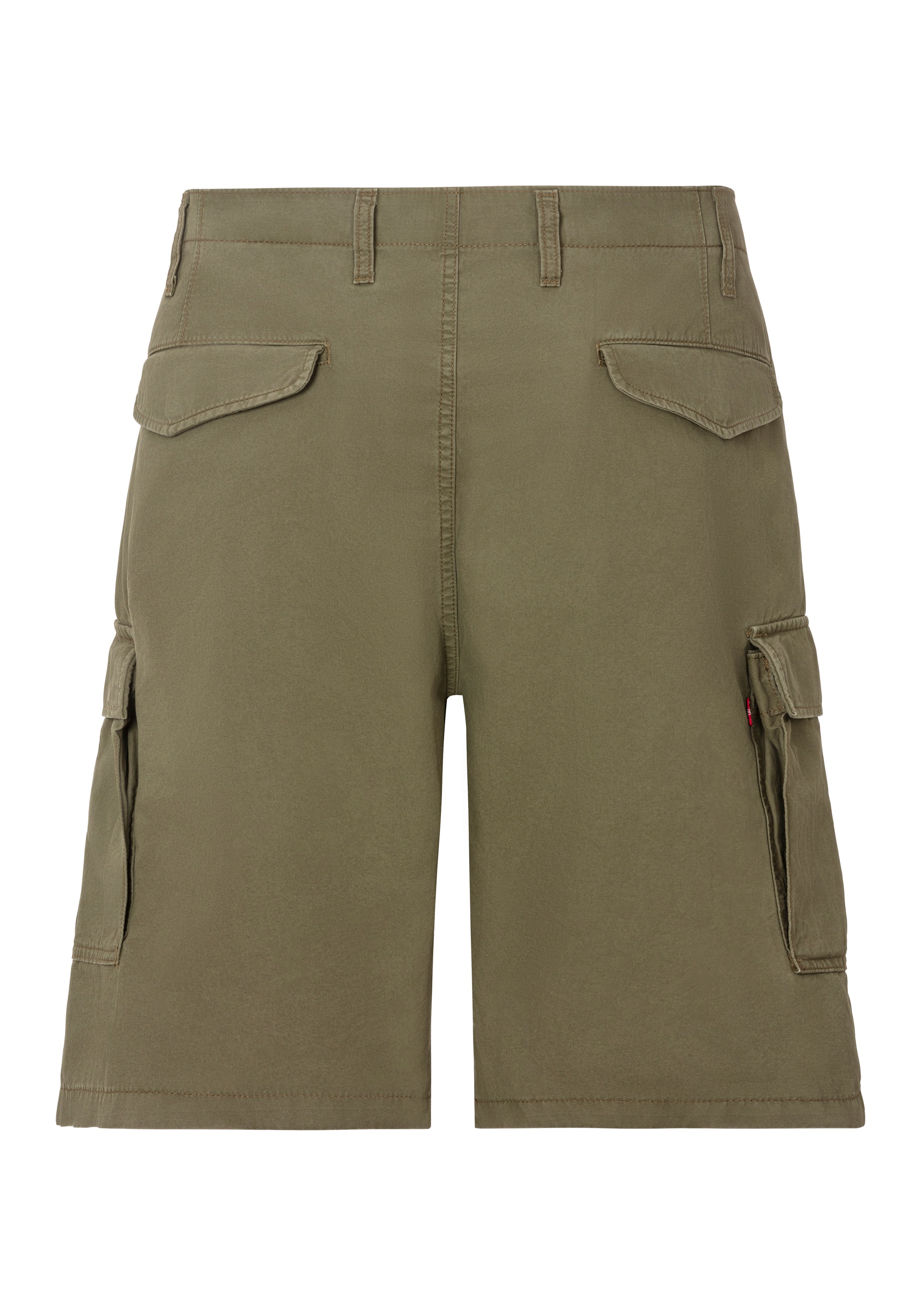 Levi's® Plus Cargoshorts, Sommerhose
