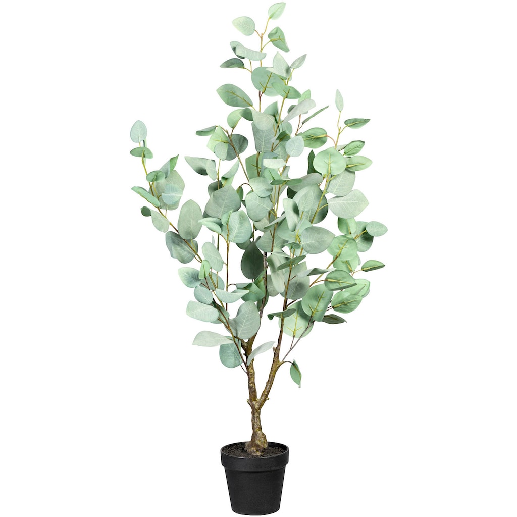Creativ green Künstliche Zimmerpflanze »Eukalypthus«