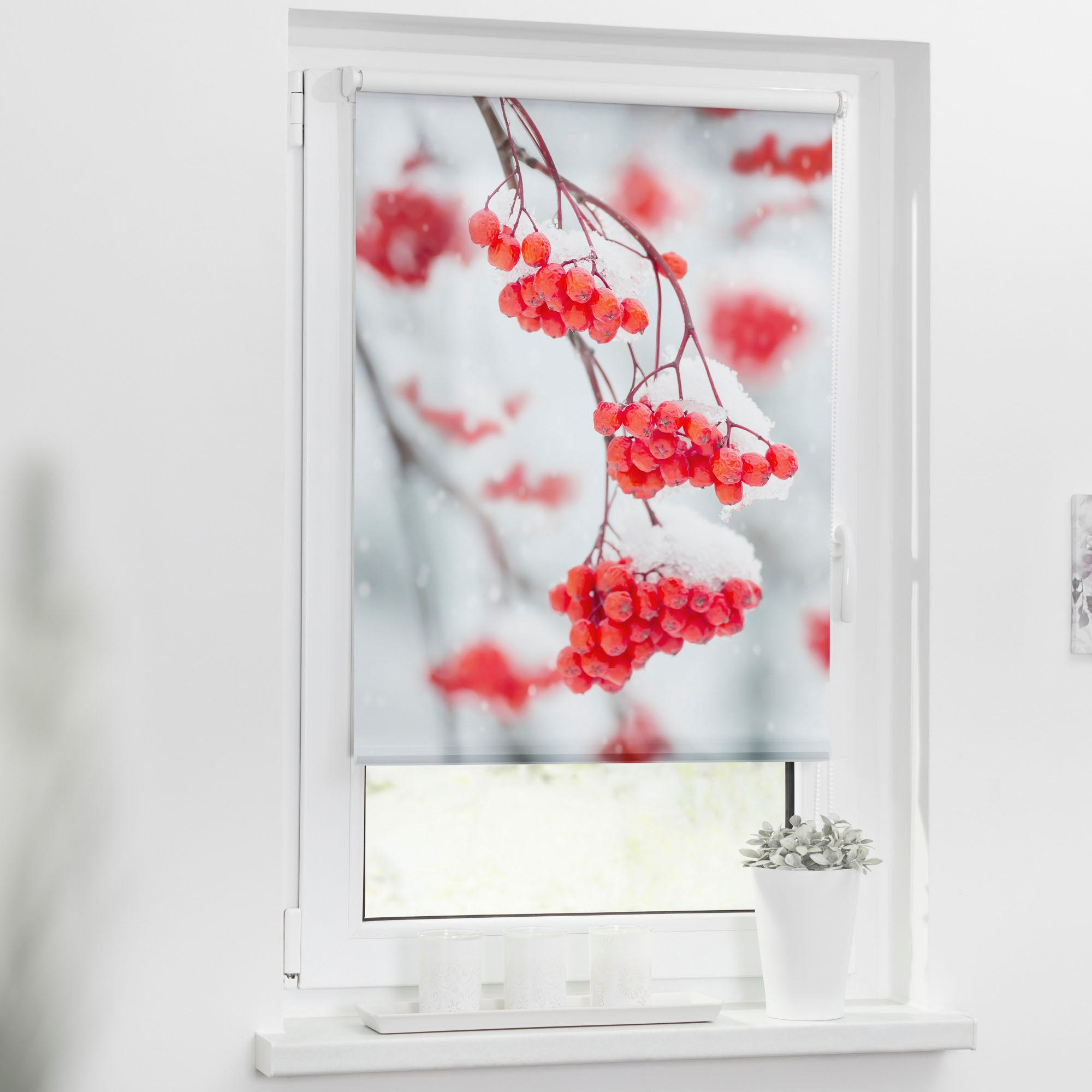 LICHTBLICK ORIGINAL Seitenzugrollo »Klemmfix Motiv Vogelbeeren«, Lichtschut günstig online kaufen