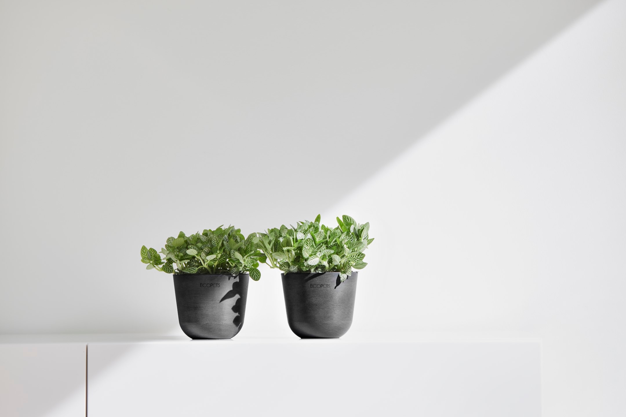 ECOPOTS Blumentopf »Oslo Mini 11,5 Dunkelgrau« für den Innenbereich