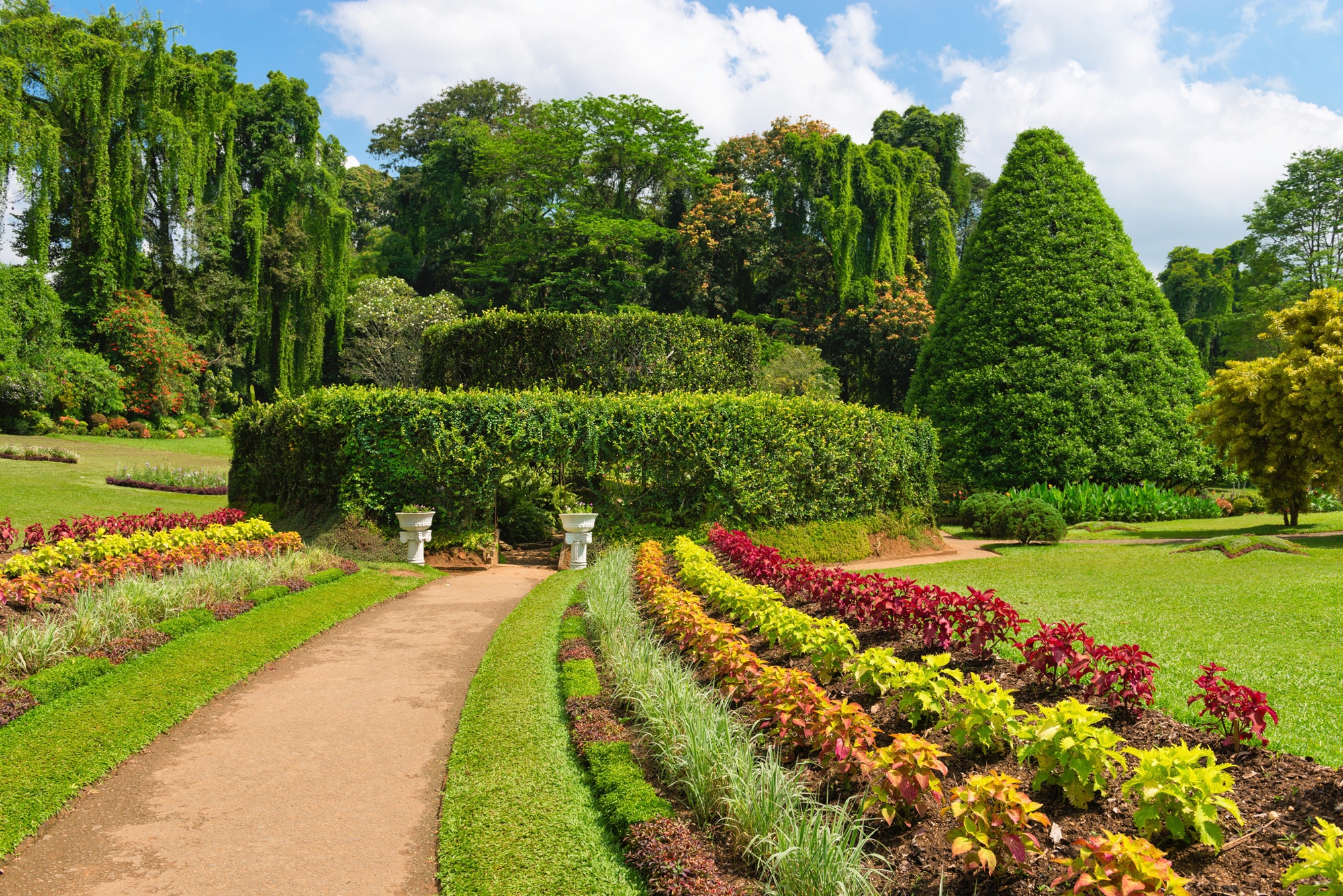 Papermoon Fototapete »GARTEN-BLUMEN BÄUME PFLANZEN PARK STEINE WALD BLÜTEN« günstig online kaufen