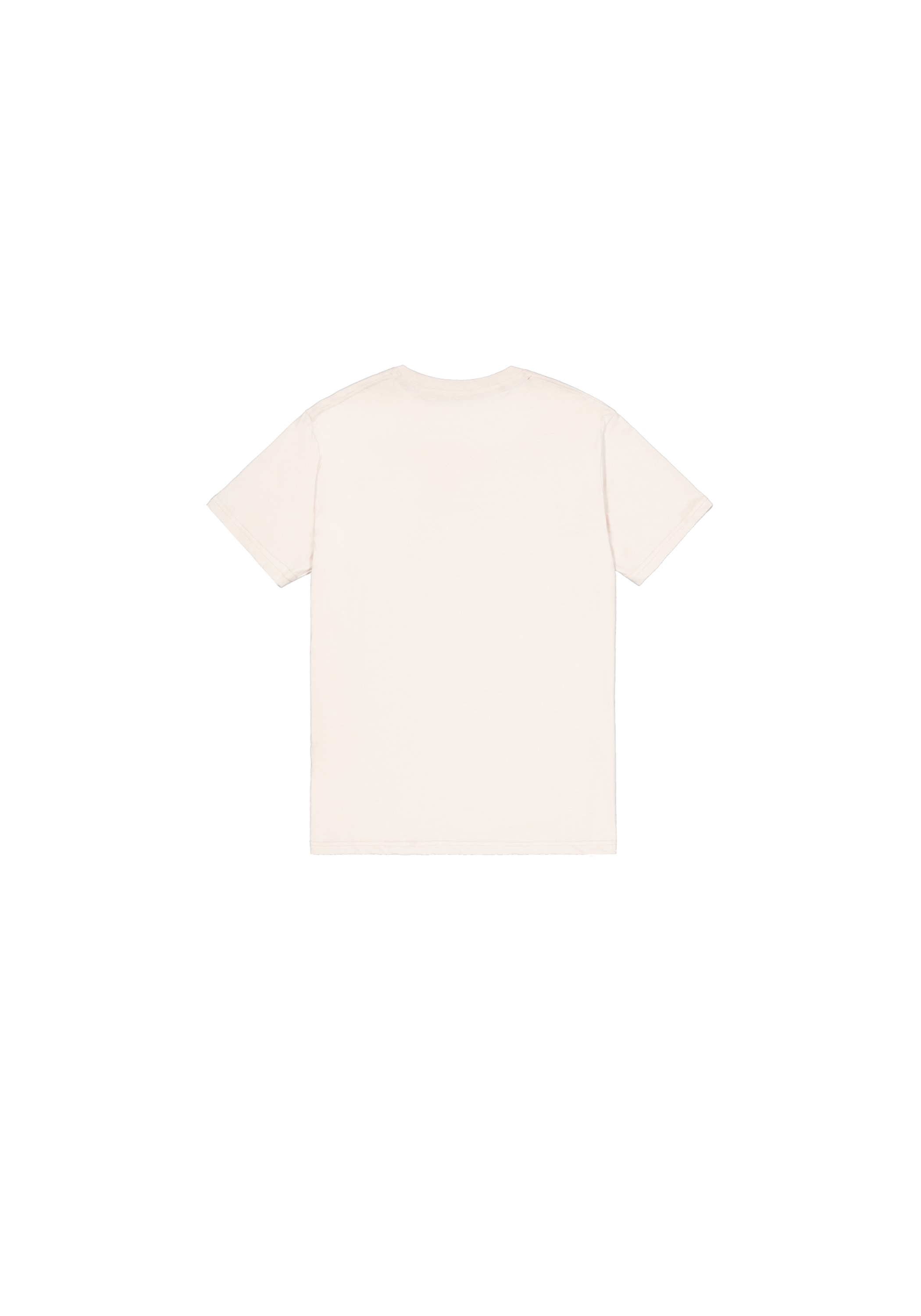 Alpha Industries T-Shirt »Camo Puff Print T-Shirt«