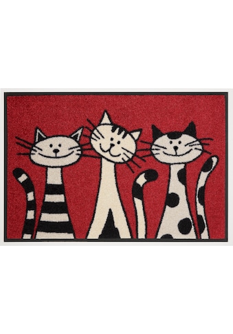 wash+dry by Kleen-Tex Fußmatte »Three Cats«, rechteckig, 9 mm Höhe, Schmutzfangmatte,... kaufen
