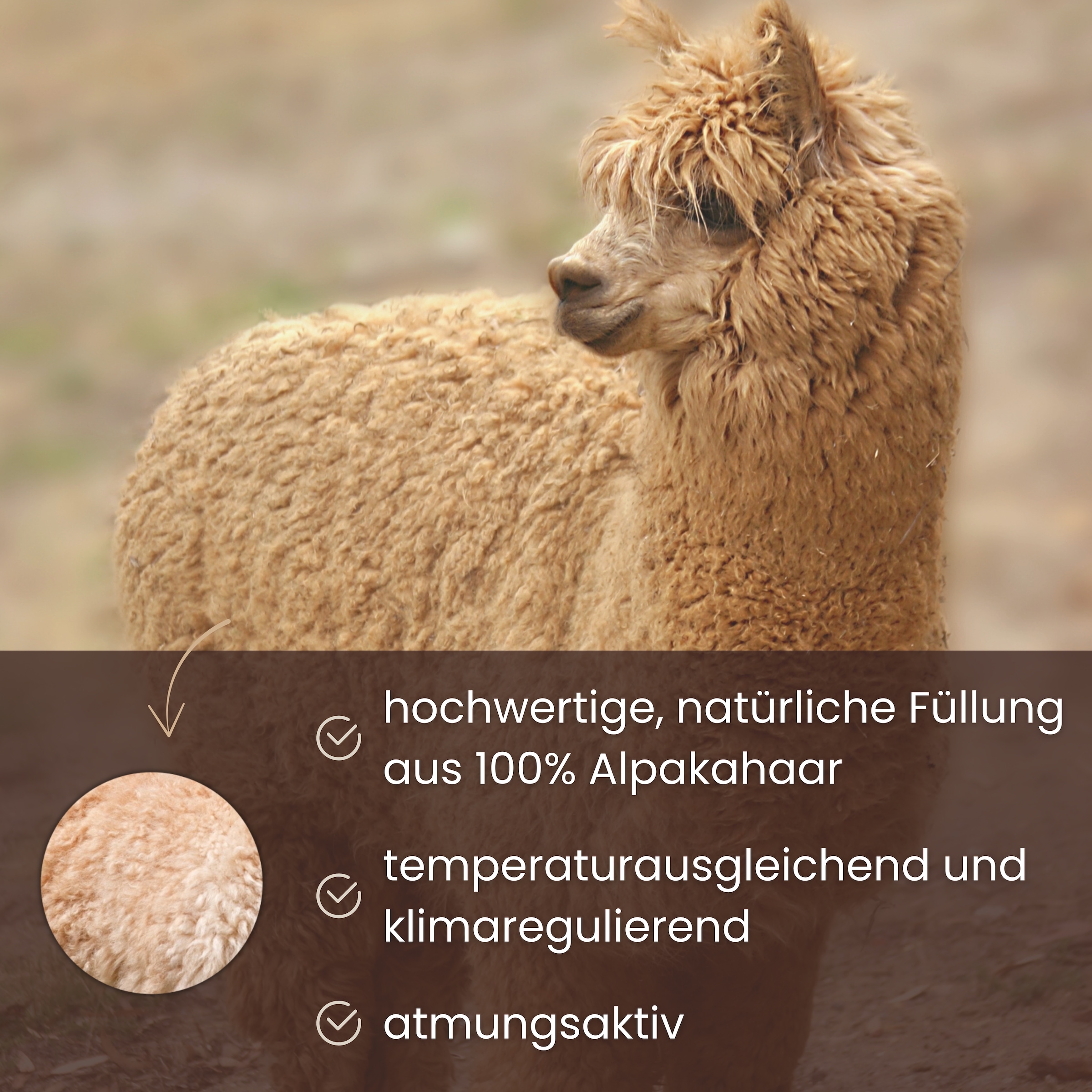 Älgdröm Naturhaarbettdecke »Lofna« leicht Füllung Alpakahaar 1 Stk. tlg. Bettdecke 135x200 und weitere Größen