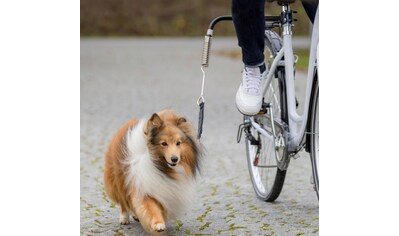 TRIXIE Hundeleine »Biker-Set«, für große Hunde kaufen