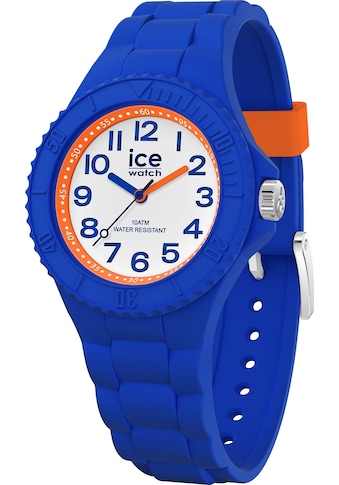 ice-watch Quarzuhr »ICE-Hero- Blue dragon XS, 020322« kaufen