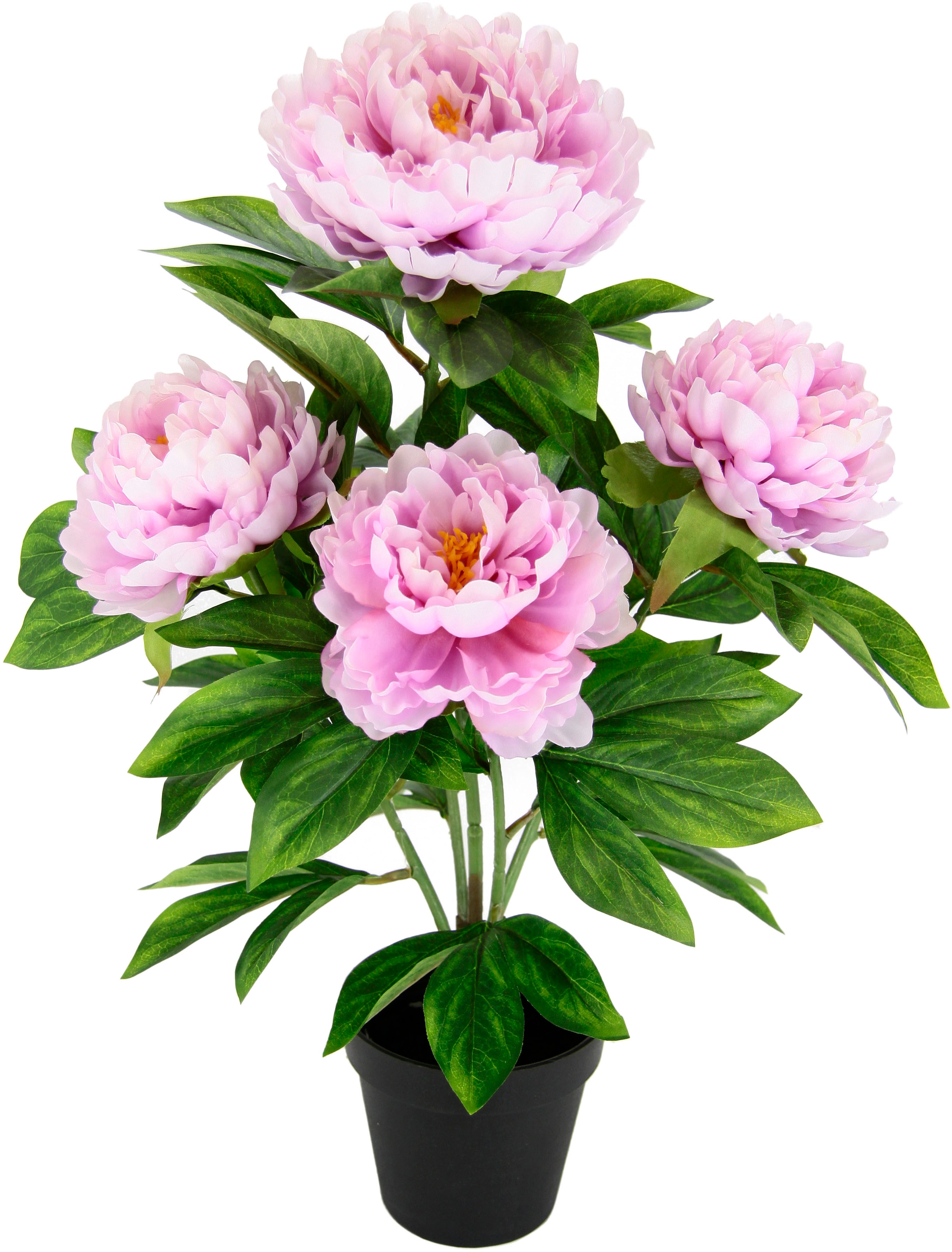 I.GE.A. Kunstblume »Päonie«, Seidenblumen günstig online kaufen