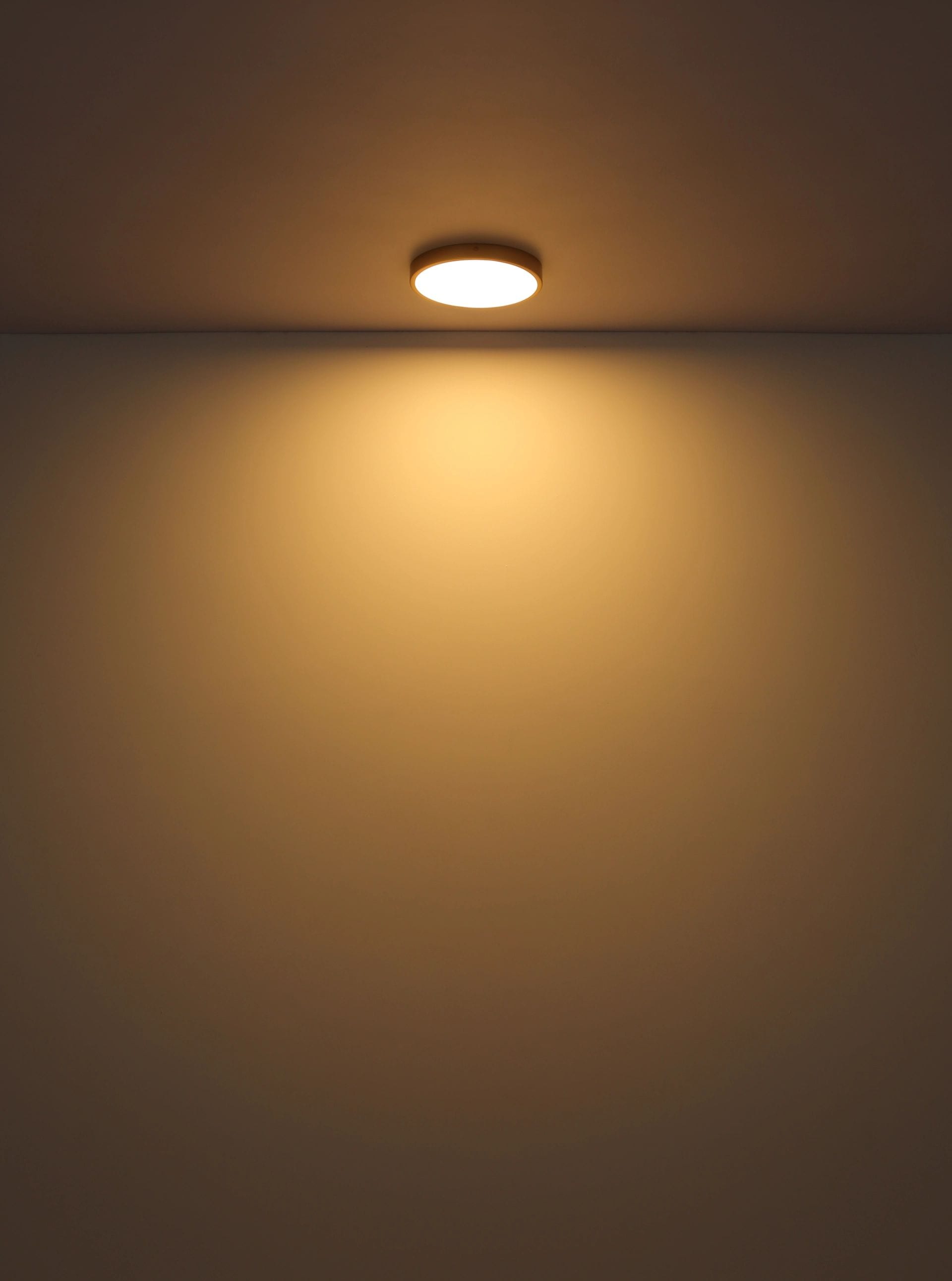 GLOBO LIGHTING LED Deckenleuchte »TIBEY«, Leuchtmittel LED-Modul | LED fest integriert, Runde Deckenlampe, Wohnzimmer, Flur, Durchmesser 45cm