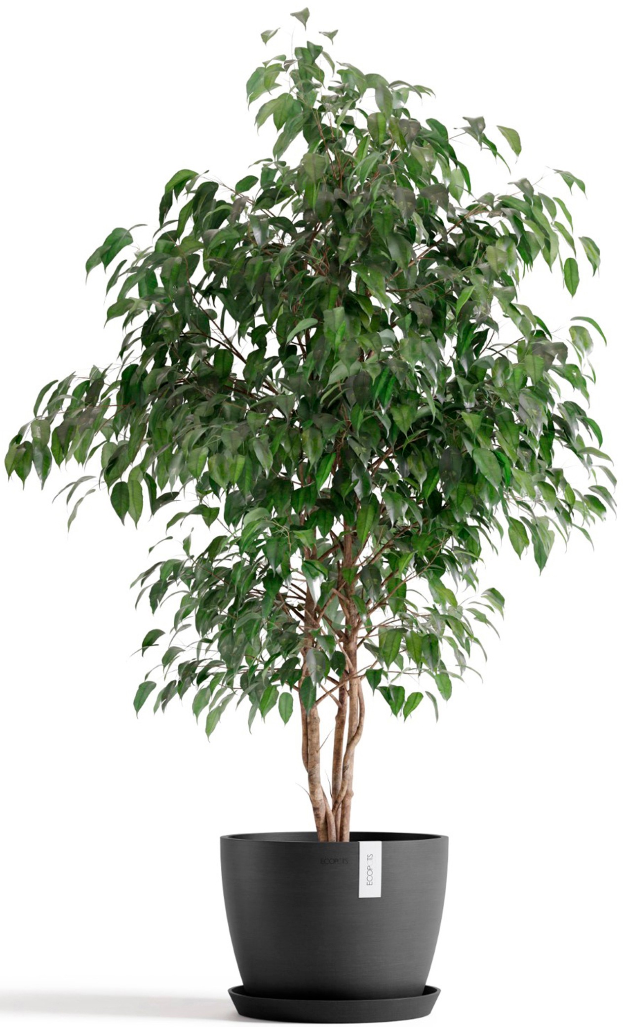 ECOPOTS Blumentopf »Stockholm 31 Dunkelgrau« für innen und außen: frostsicher, bruchsicher und lichtbeständig