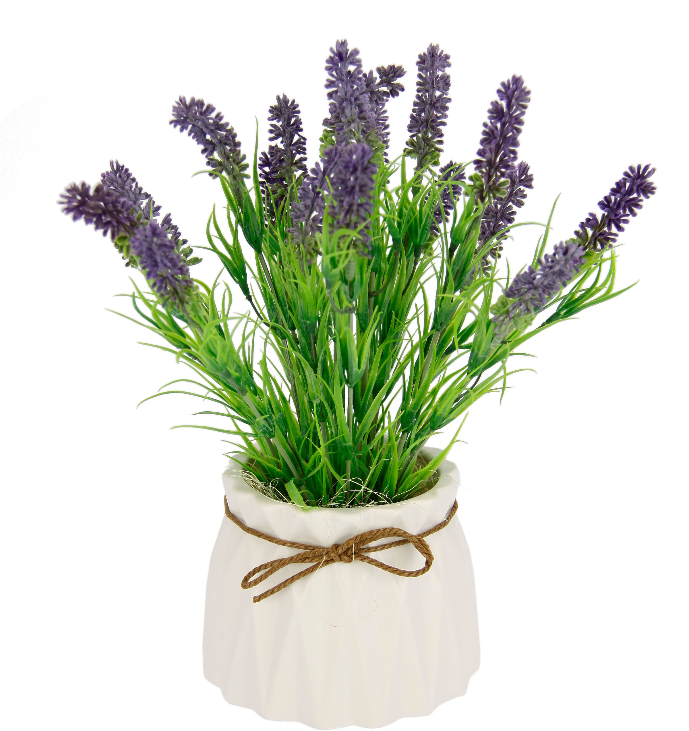 online Kunstpflanze »Lavendel«, Im kaufen Keramiktopf I.GE.A.