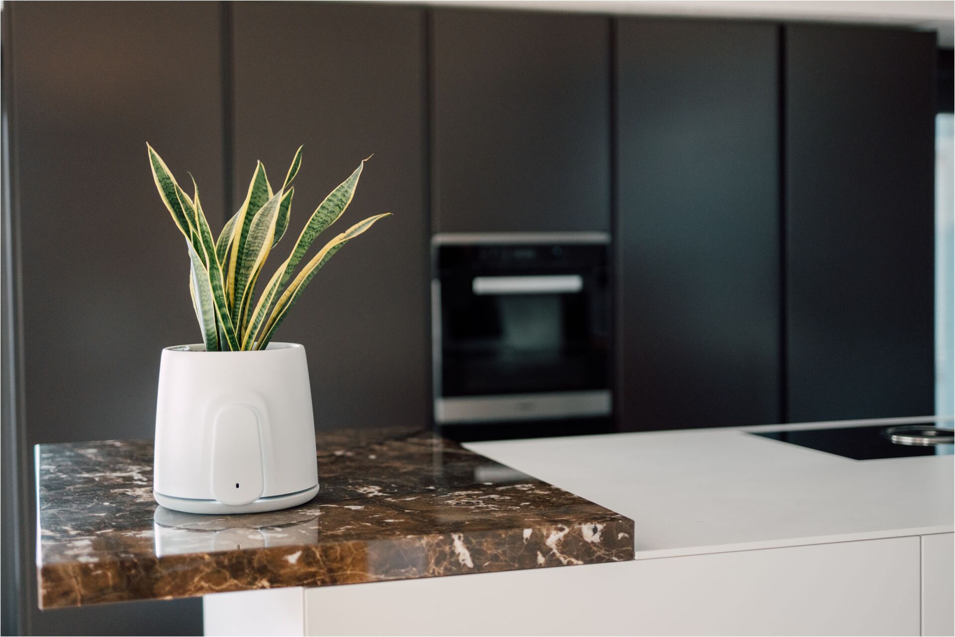 Vitesy Luftreiniger »Natede Smart – Smarte Luftreinigung und stilvoller Blumentopf«, für 20 m² Räume, Waschbarer Filter, App-Steuerung, Selbstbewässerung Blumentopf