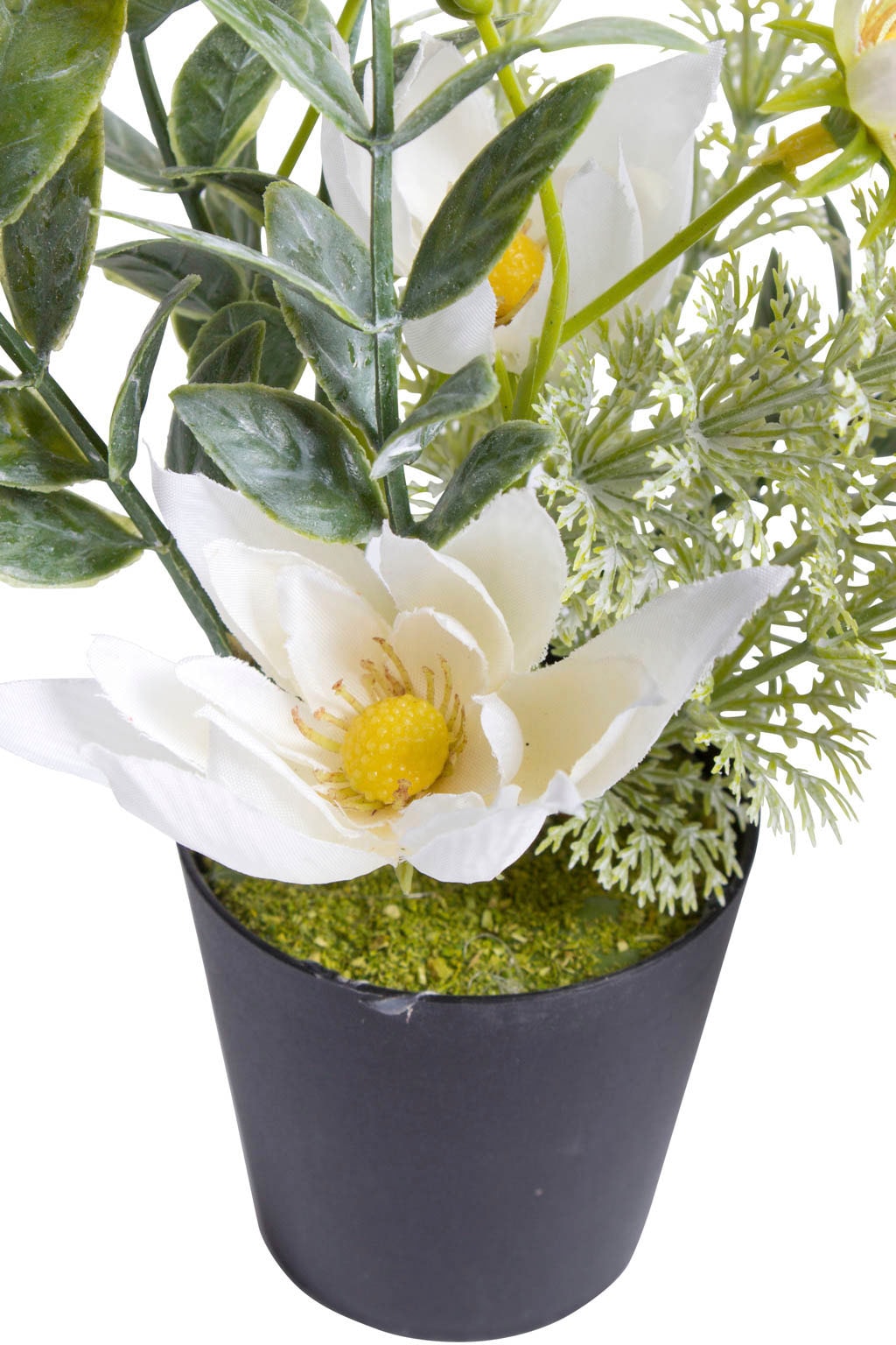 Botanic-Haus Künstliche Zimmerpflanze »Christrosen-Arrangement im schwarzen  Kunststofftopf« auf Raten bestellen