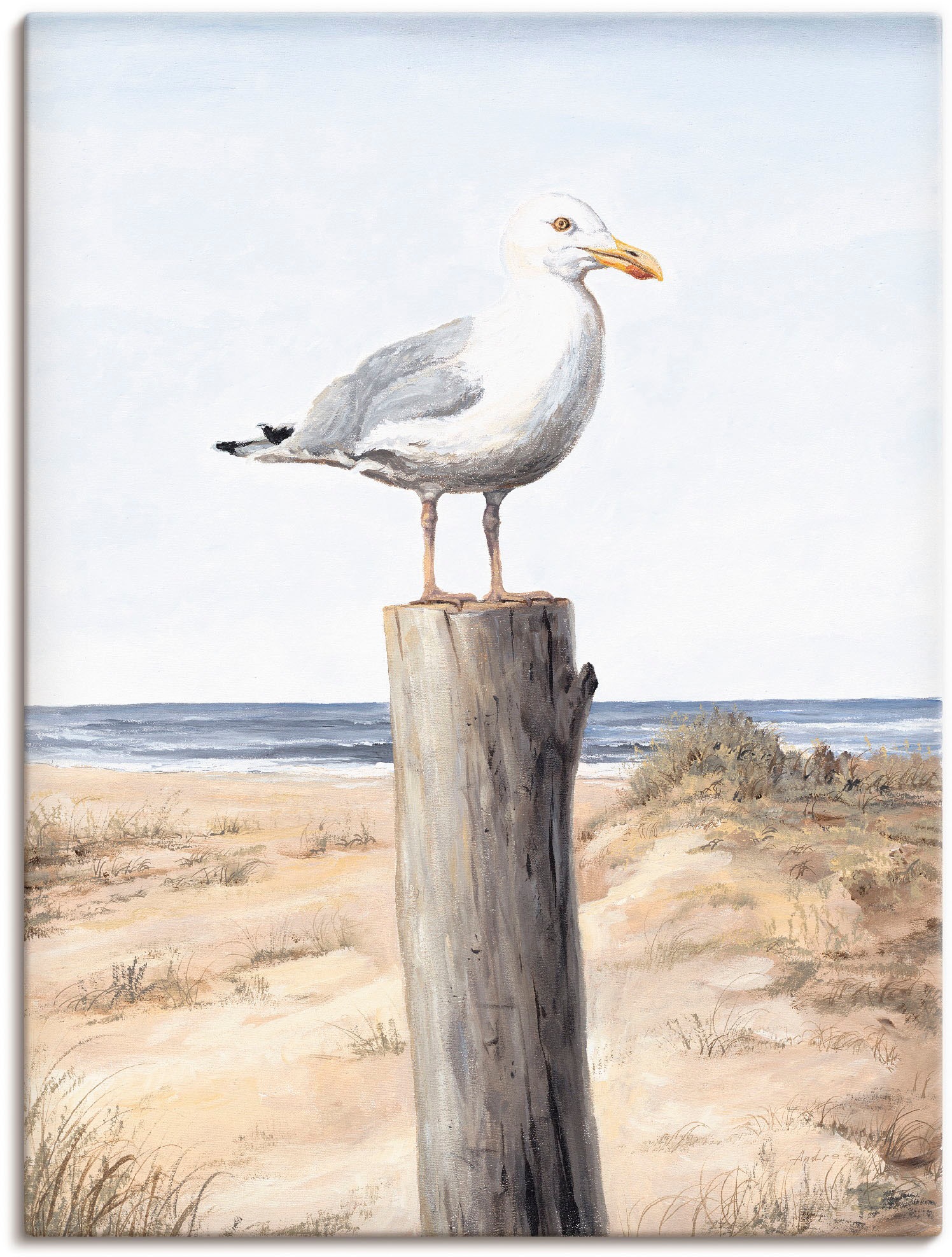 Artland Wandbild »Möwe«, Vögel, (1 Poster als kaufen oder Größen versch. Alubild, Wandaufkleber Leinwandbild, St.), in online