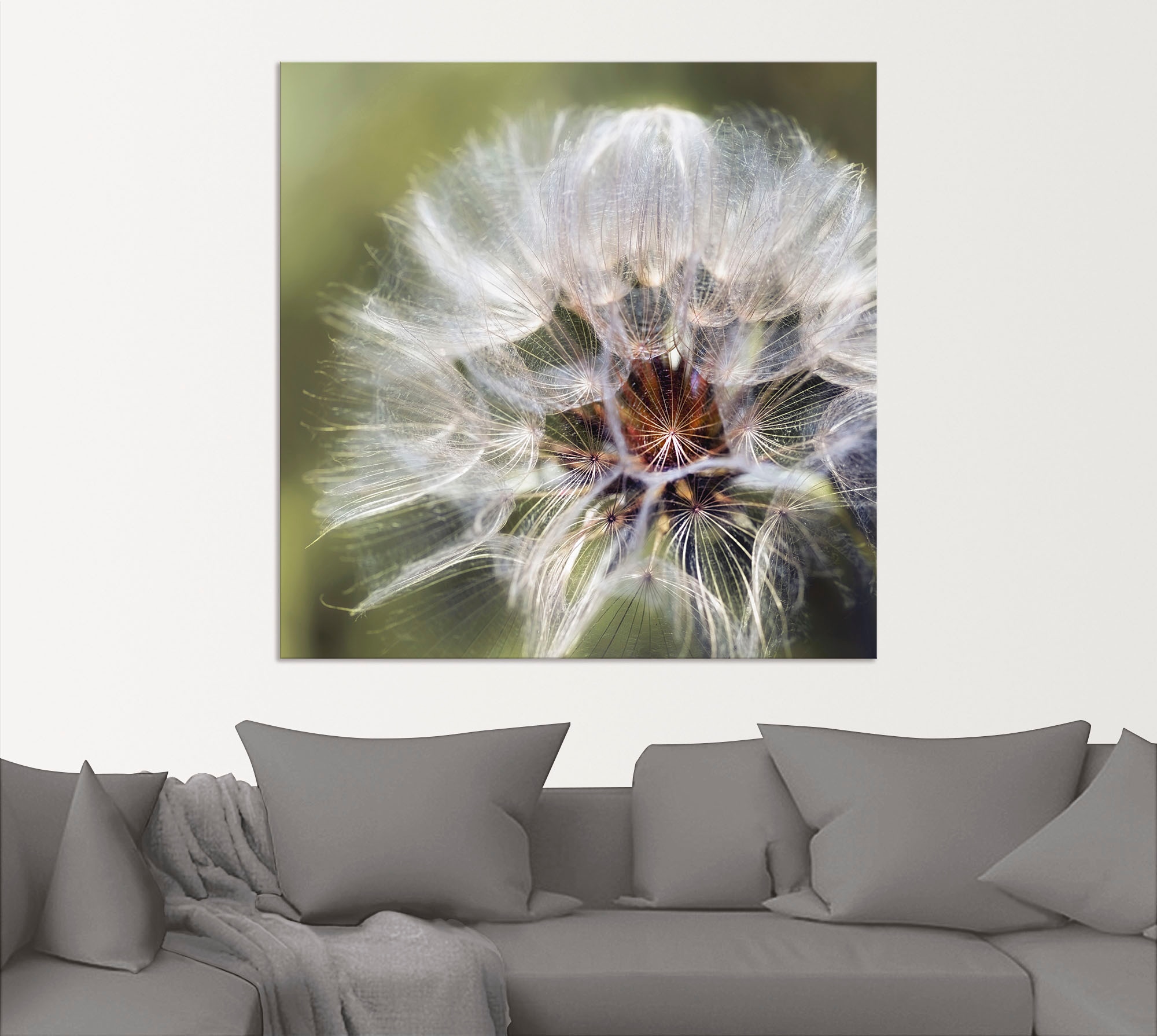 Artland Wandbild »Pusteblume II«, Blumen, (1 St.), als Alubild, Outdoorbild, Poster in verschied. Größen