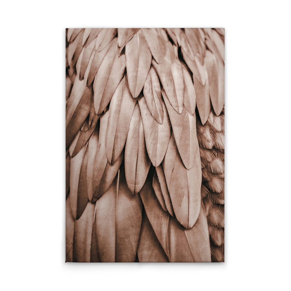 A.S. Création Leinwandbild »Feathers 1 - Wandbild Rosa Beige Keilrahmen Kun günstig online kaufen