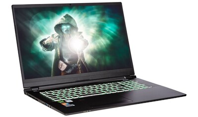 CAPTIVA Gaming-Notebook »Highend Gaming I60-989«, (43,9 cm/17,3 Zoll), Intel, Core i7,... kaufen