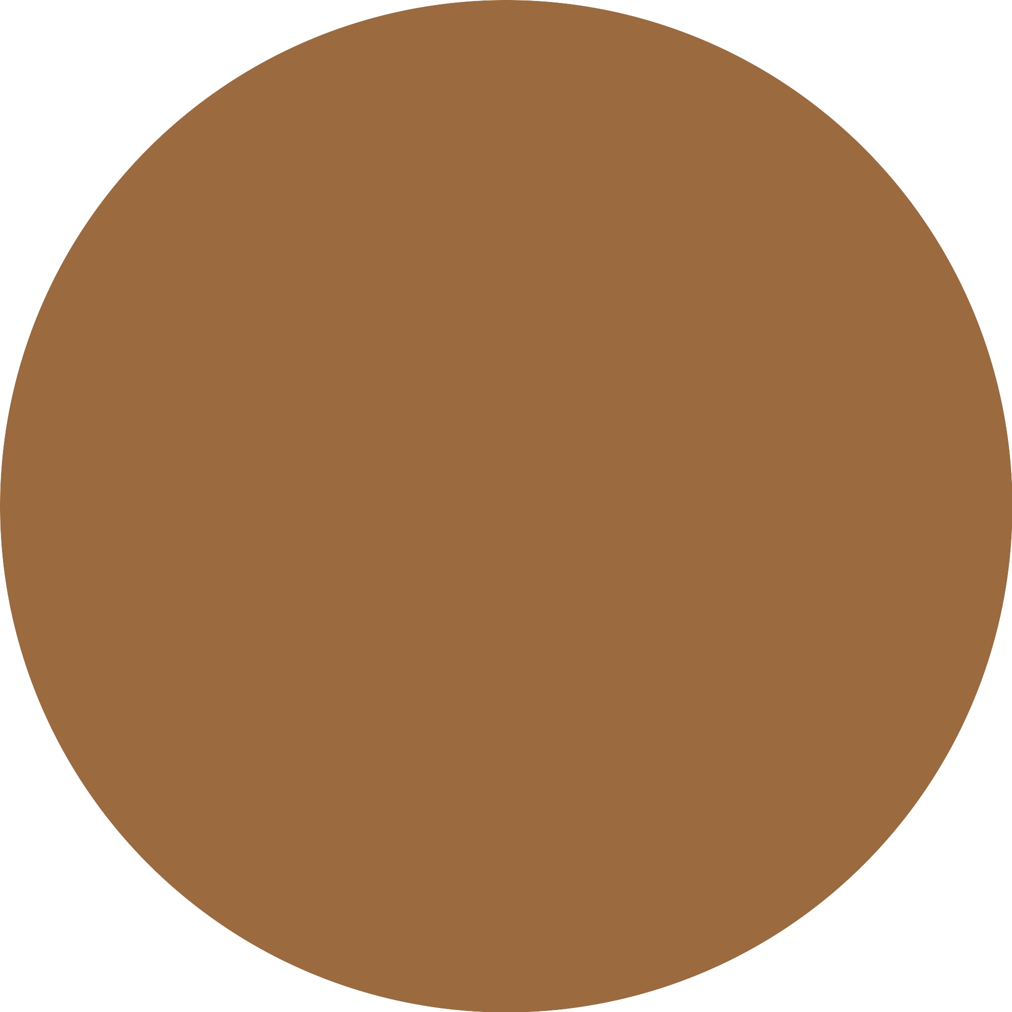 Essence Foundation »Silky BLUR HYDRATING LONGWEAR FOUNDATION«